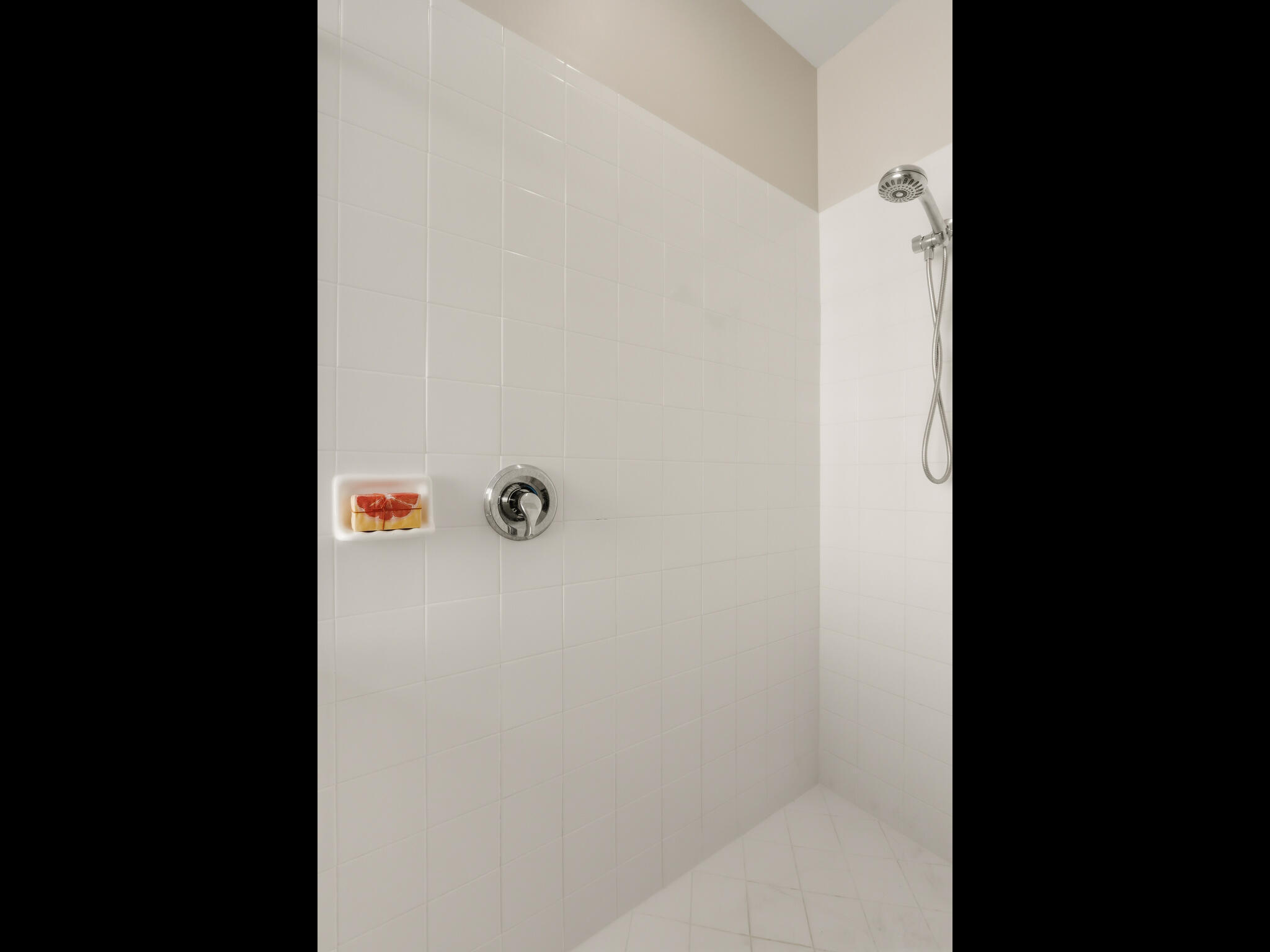 11481 Kanapali Lane
