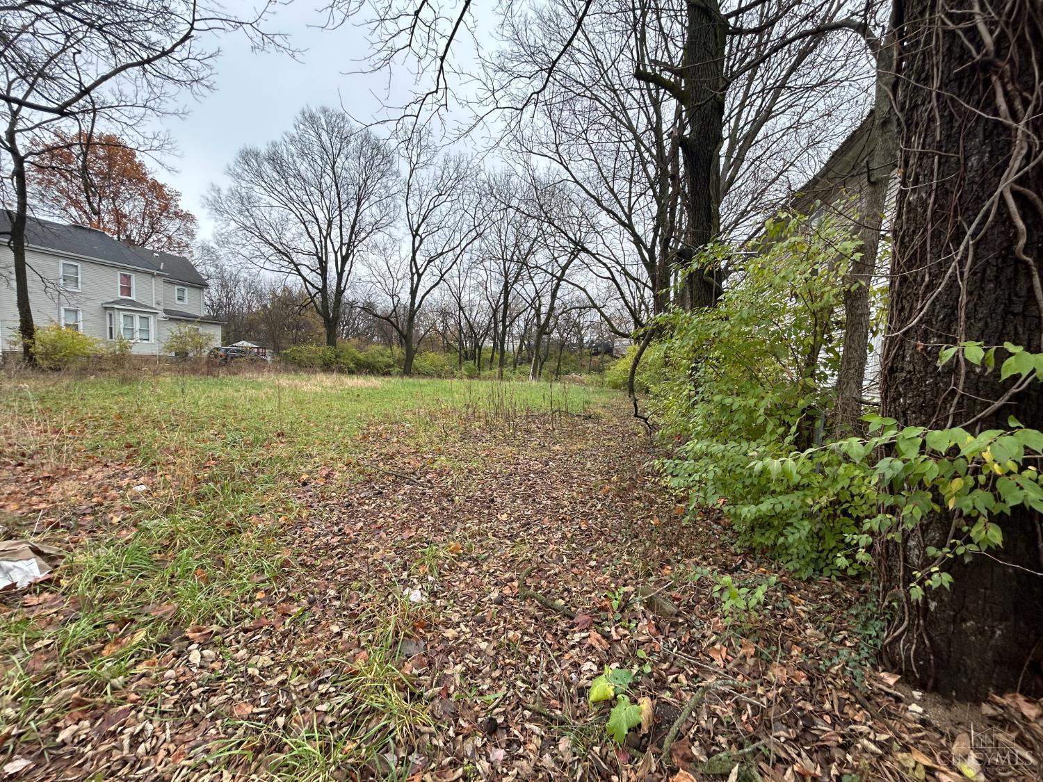 8338 Anthony Wayne Avenue