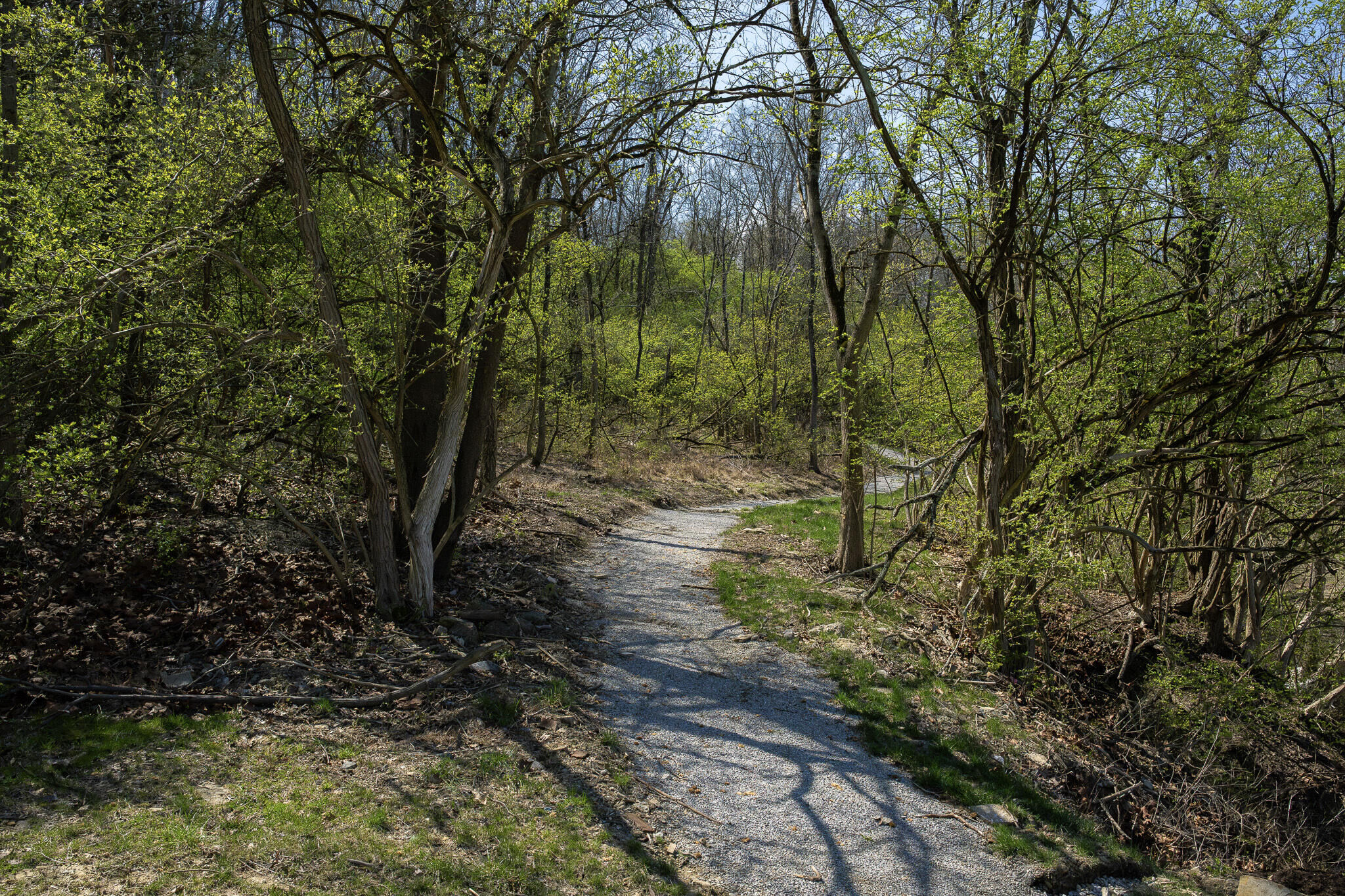 861 Belle Ridge Loop