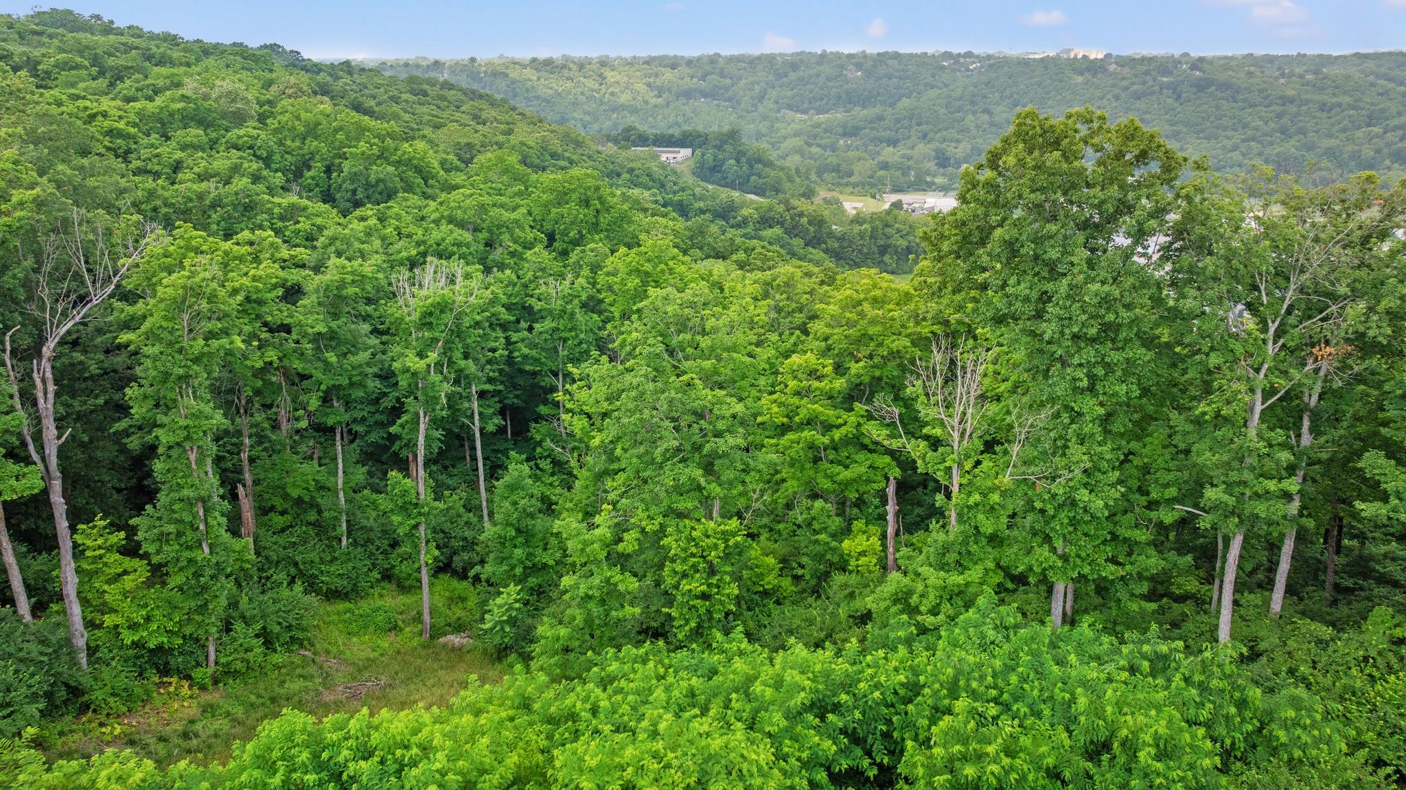 2371 Piazza Ridge
