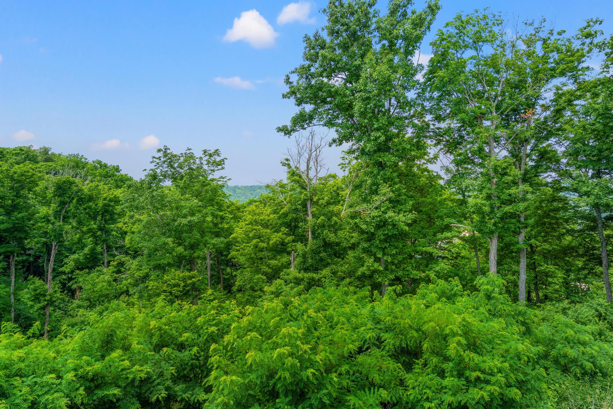 2371 Piazza Ridge