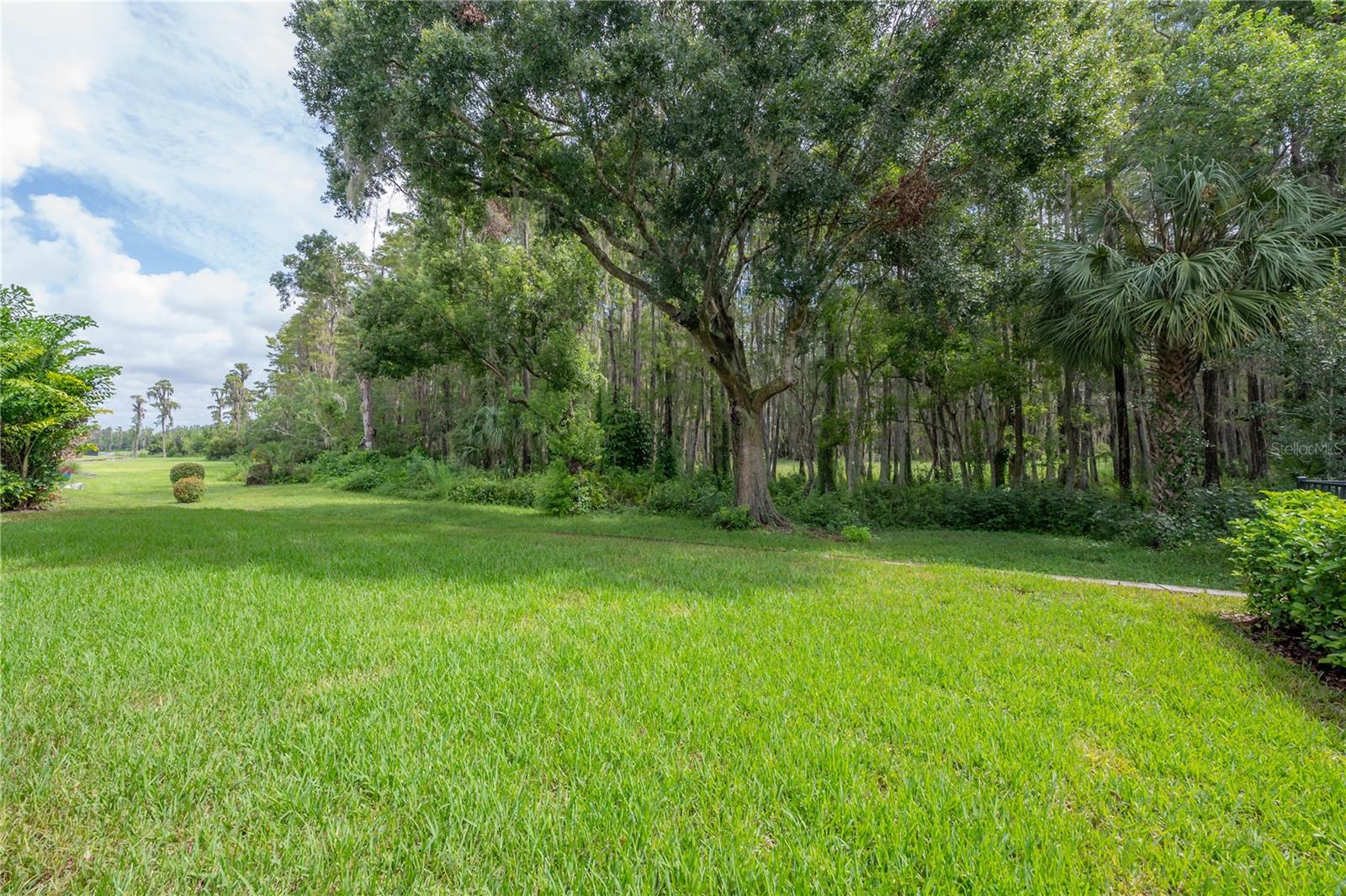 19607 WHISPERING FERN PL
