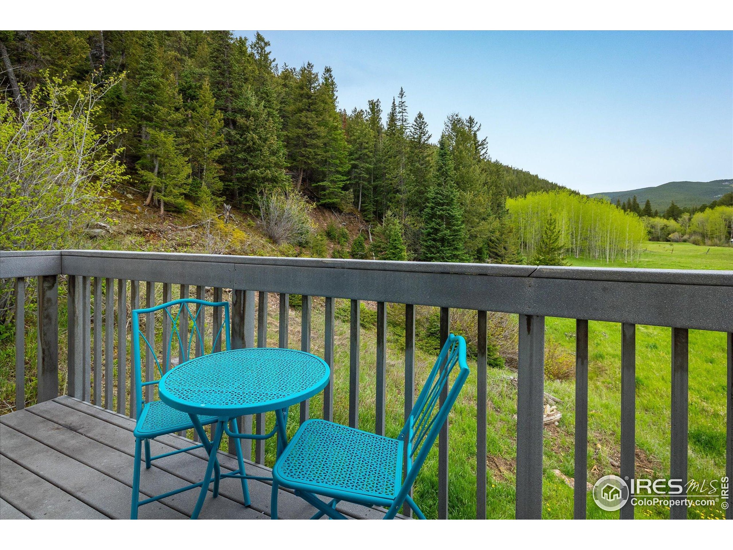 489 Beaver Creek Dr Nederland