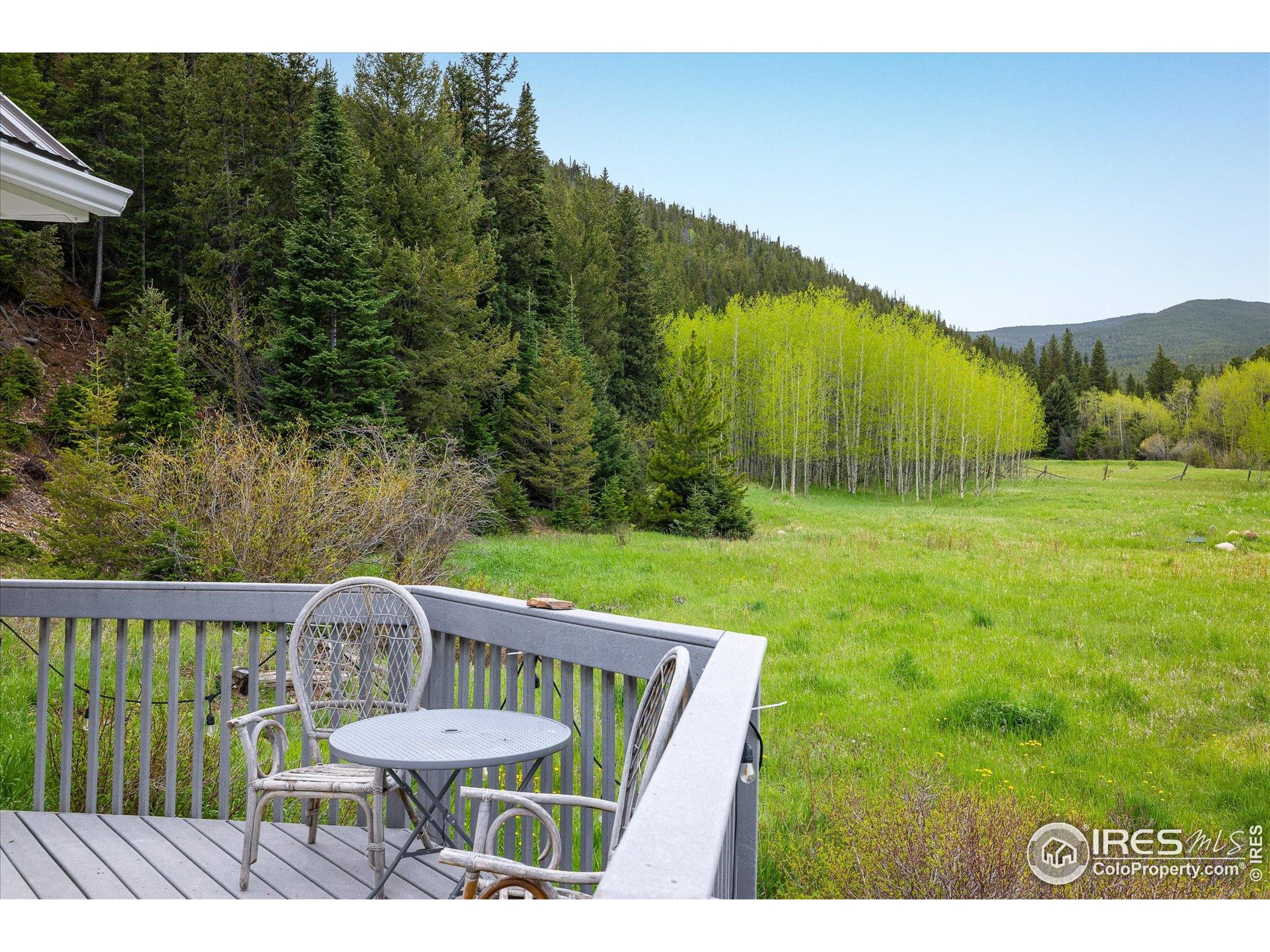 489 Beaver Creek Dr Nederland