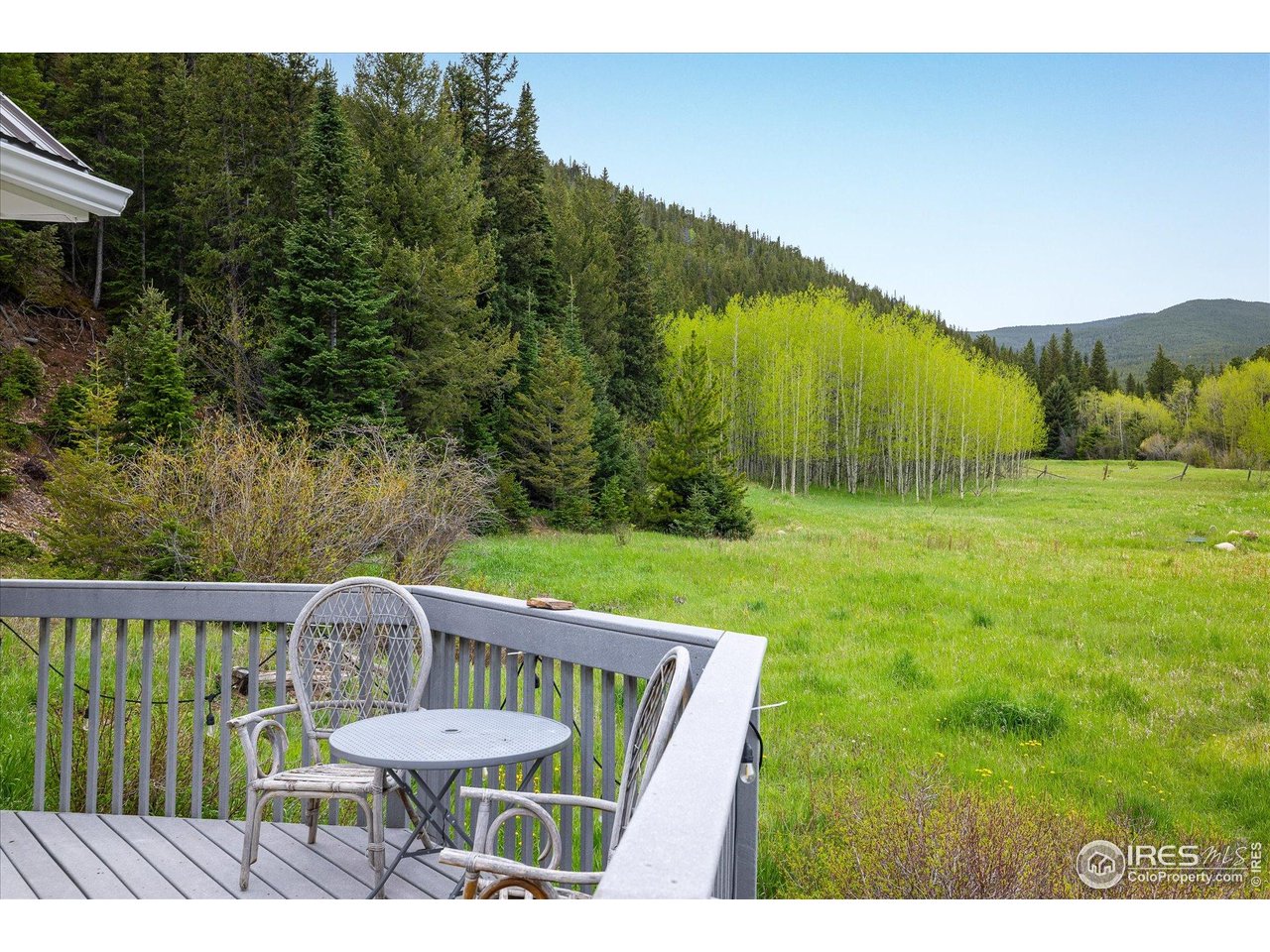 489 Beaver Creek Dr Nederland