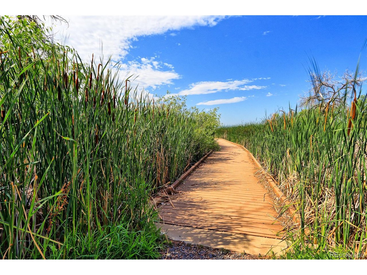 14019 Mckay Park Cir