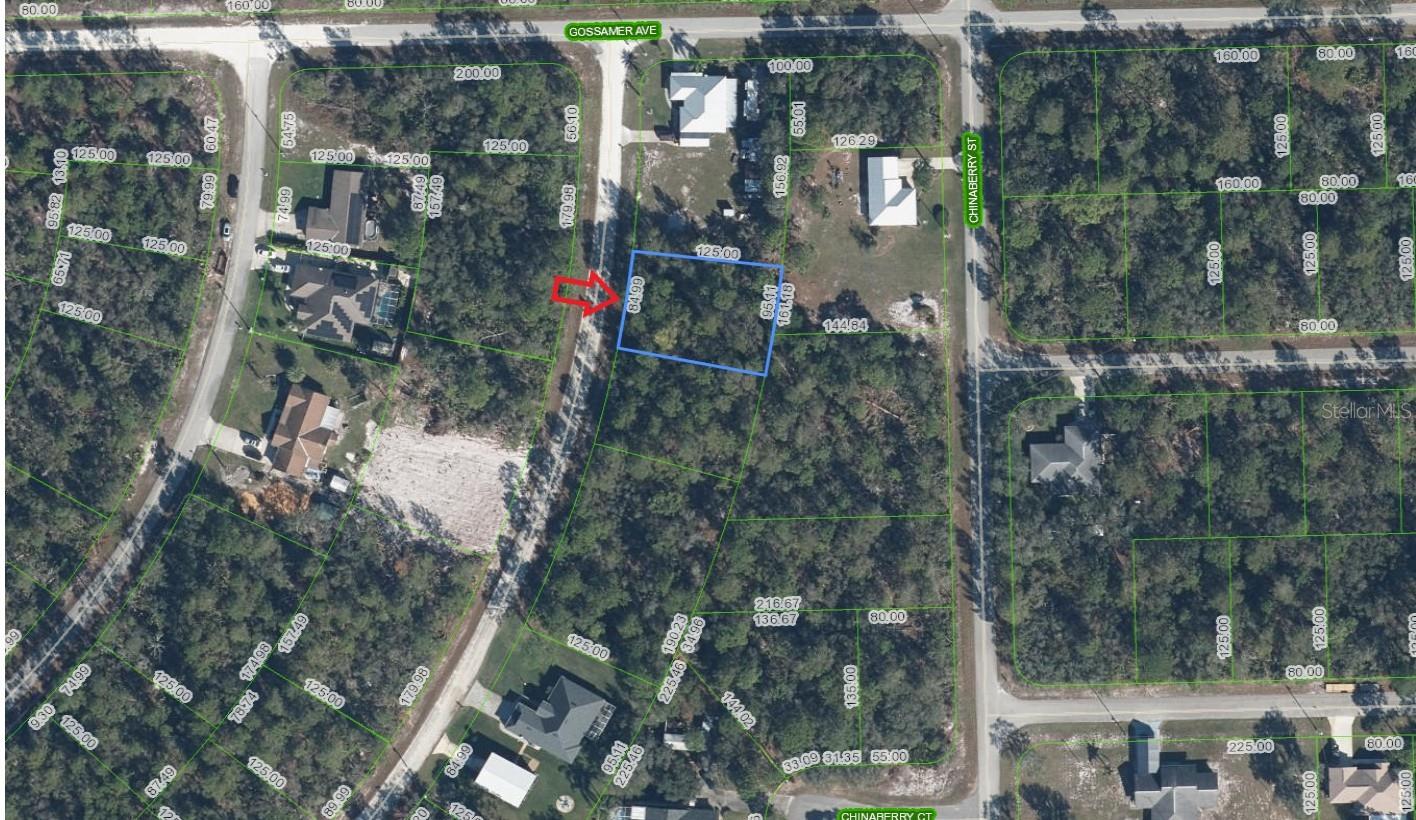 947 CORK TREE RD