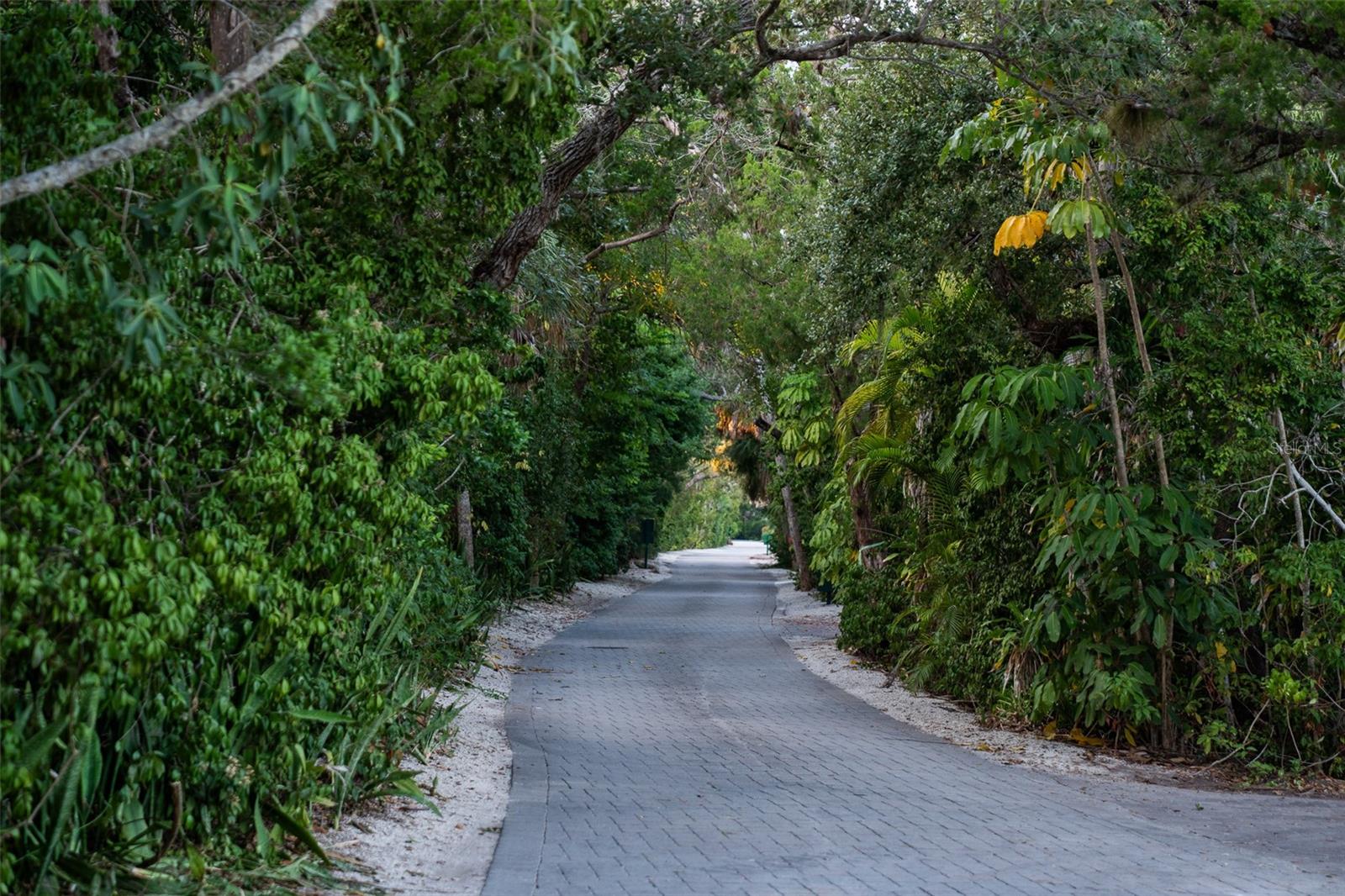 1290 HIDDEN HARBOR WAY