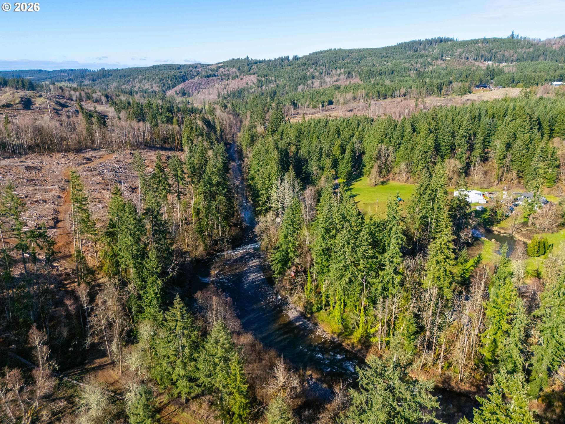Echo Falls Treefarm - Abiqua Rd. 