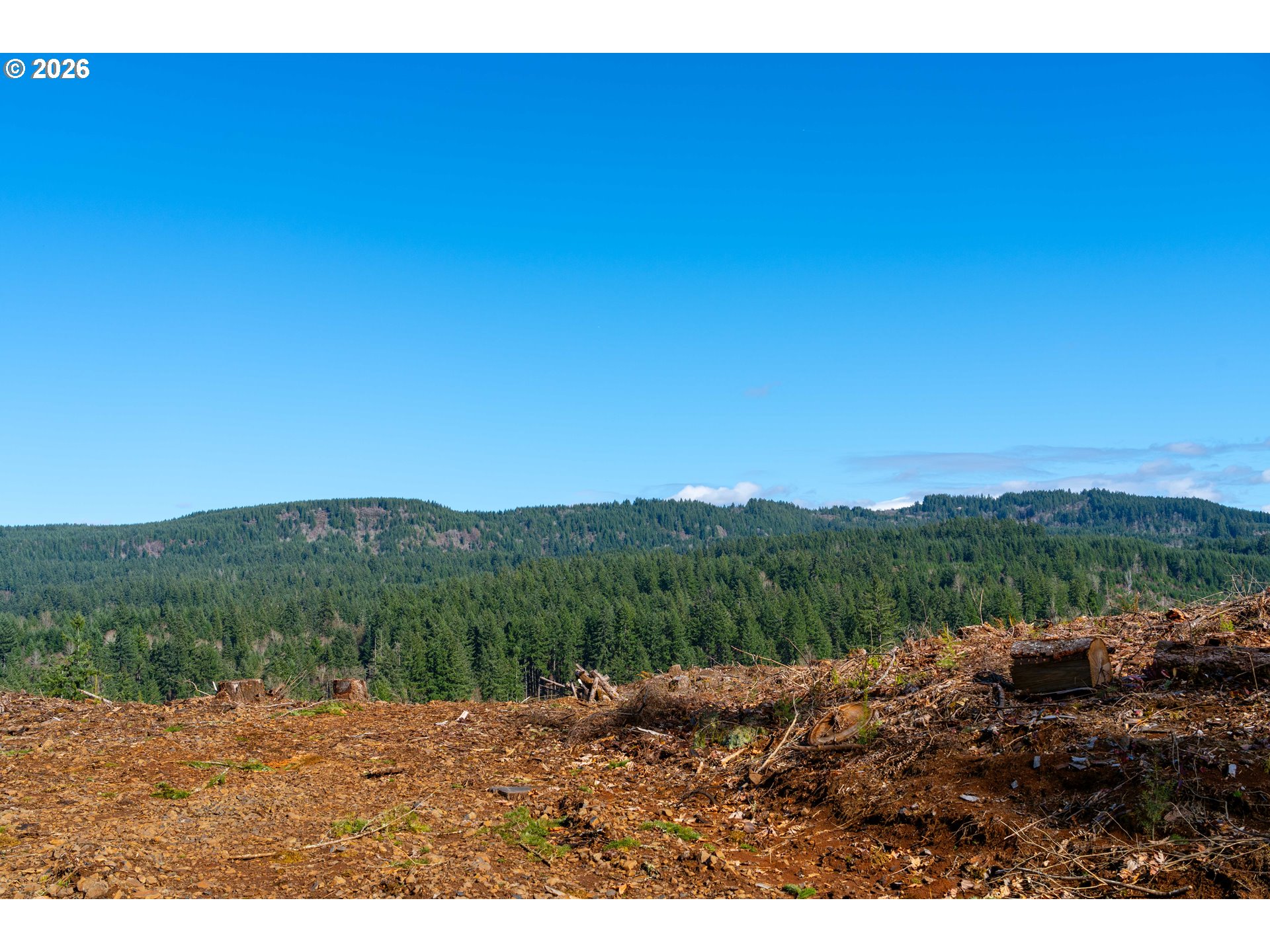 Echo Falls Treefarm - Abiqua Rd. 
