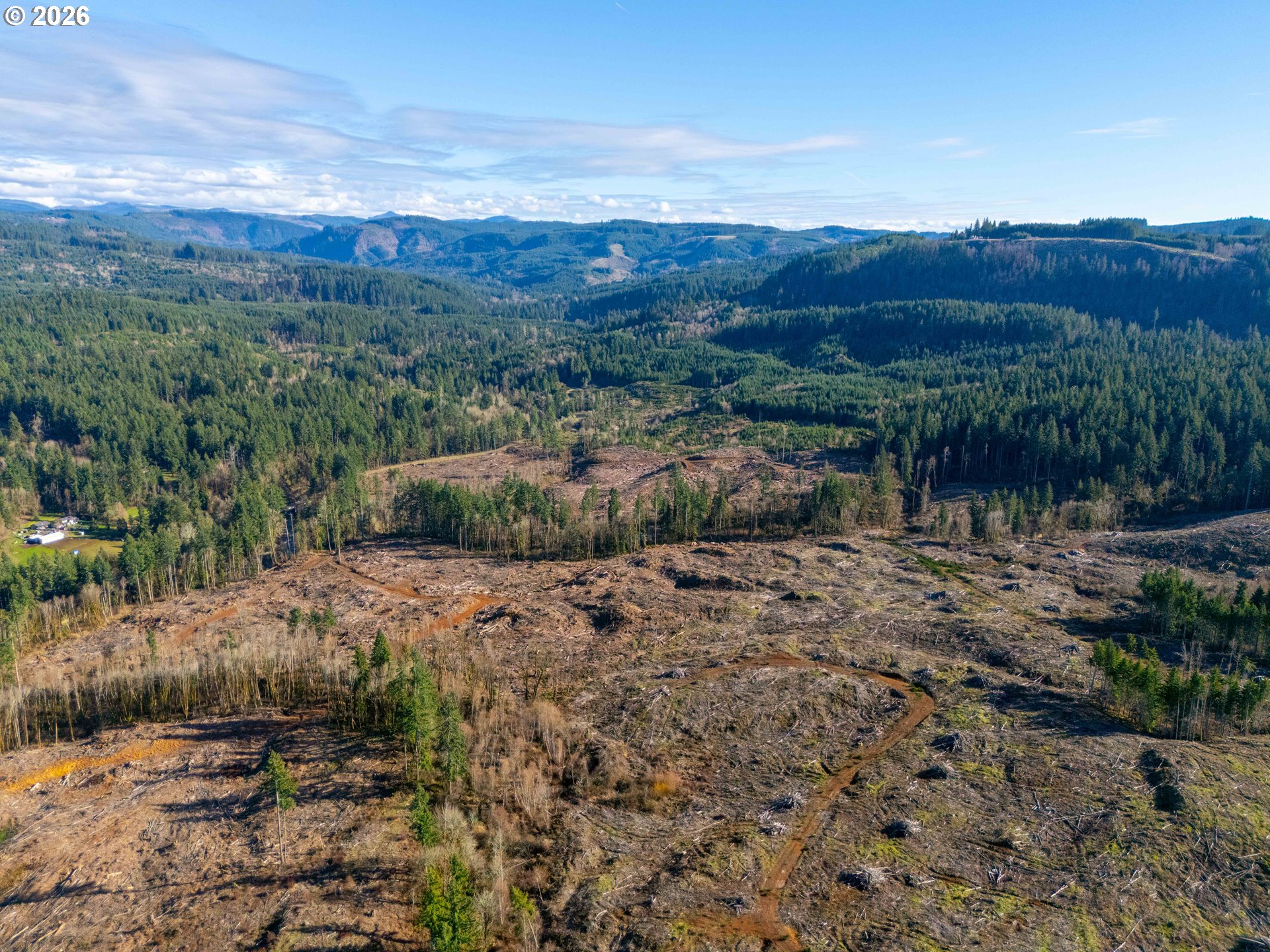 Echo Falls Treefarm - Abiqua Rd. 