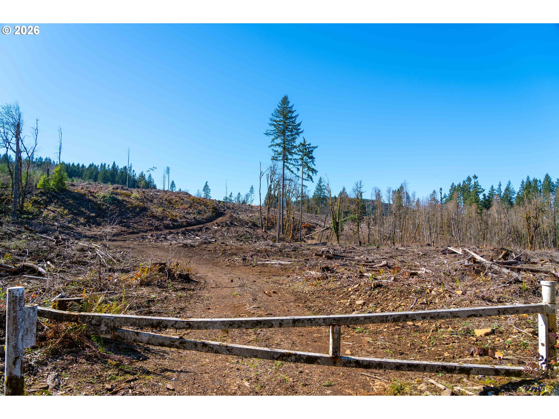 Echo Falls Treefarm - Abiqua Rd. 