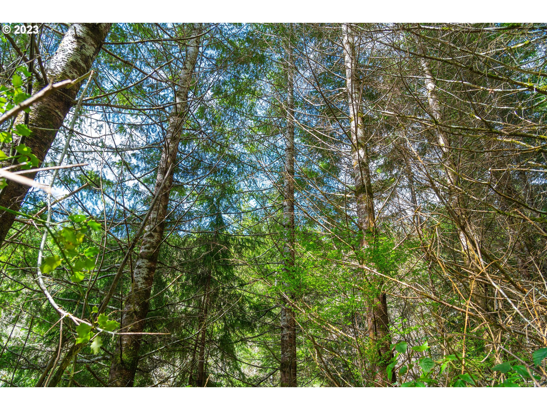 0 Siletz HWY