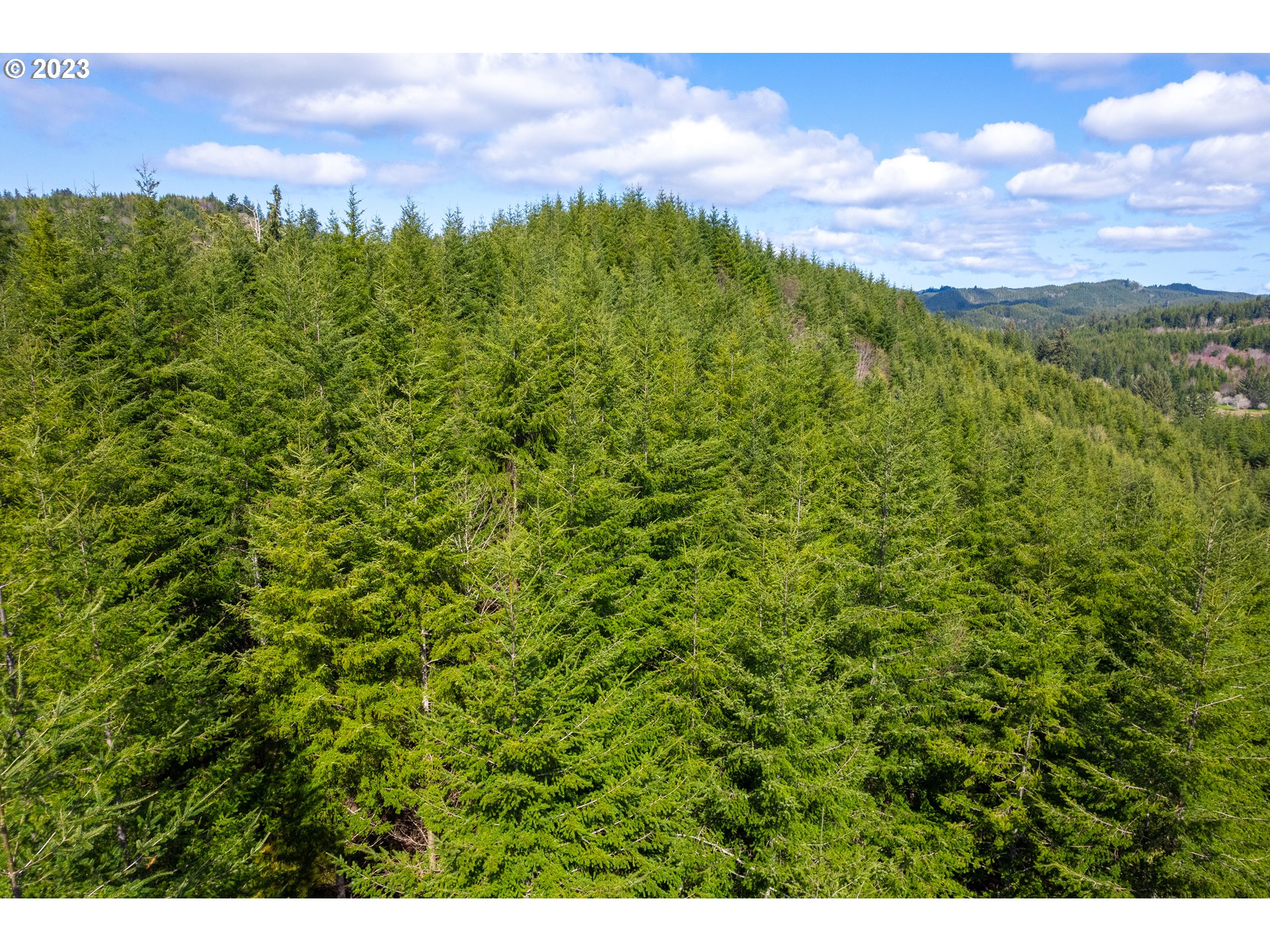 0 Siletz HWY