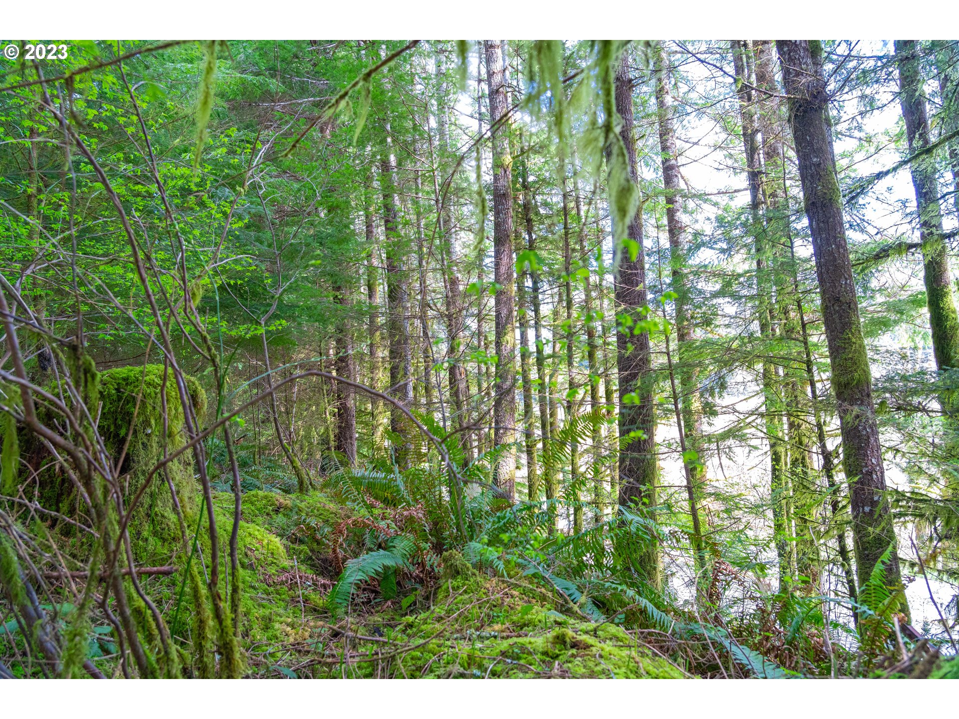 0 Siletz HWY