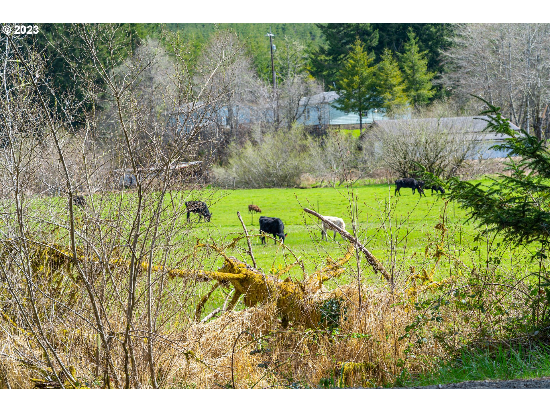 0 Siletz HWY