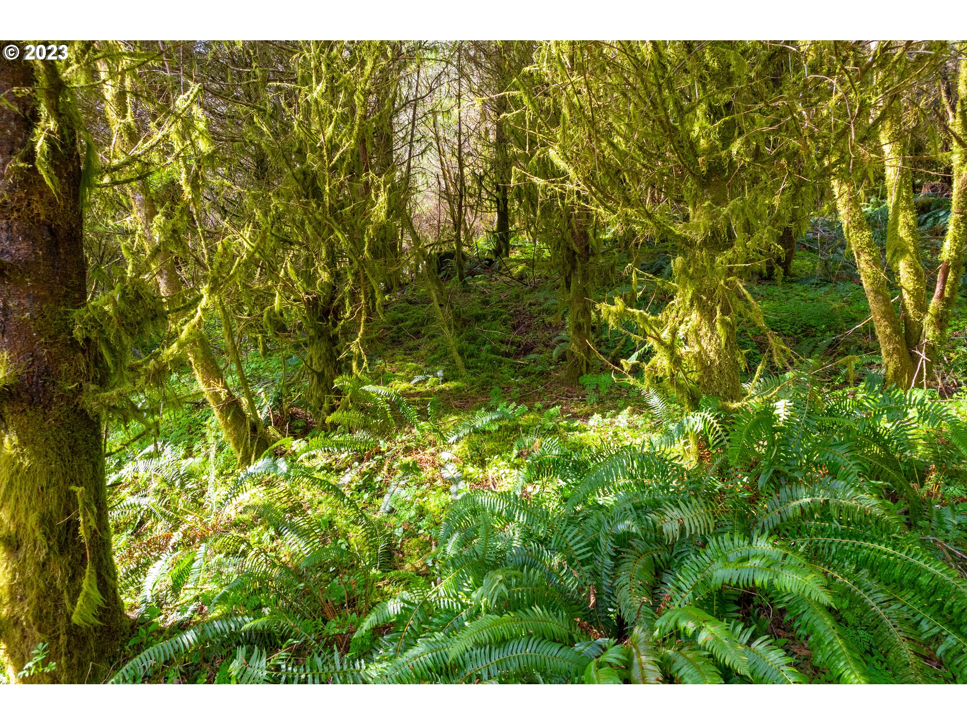 0 Siletz HWY
