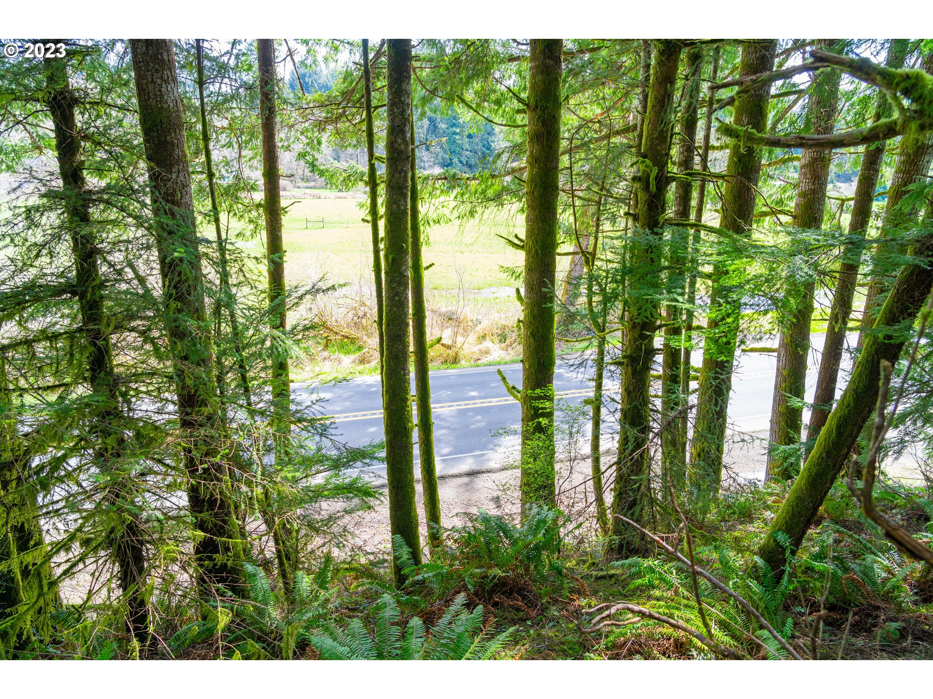 0 Siletz HWY
