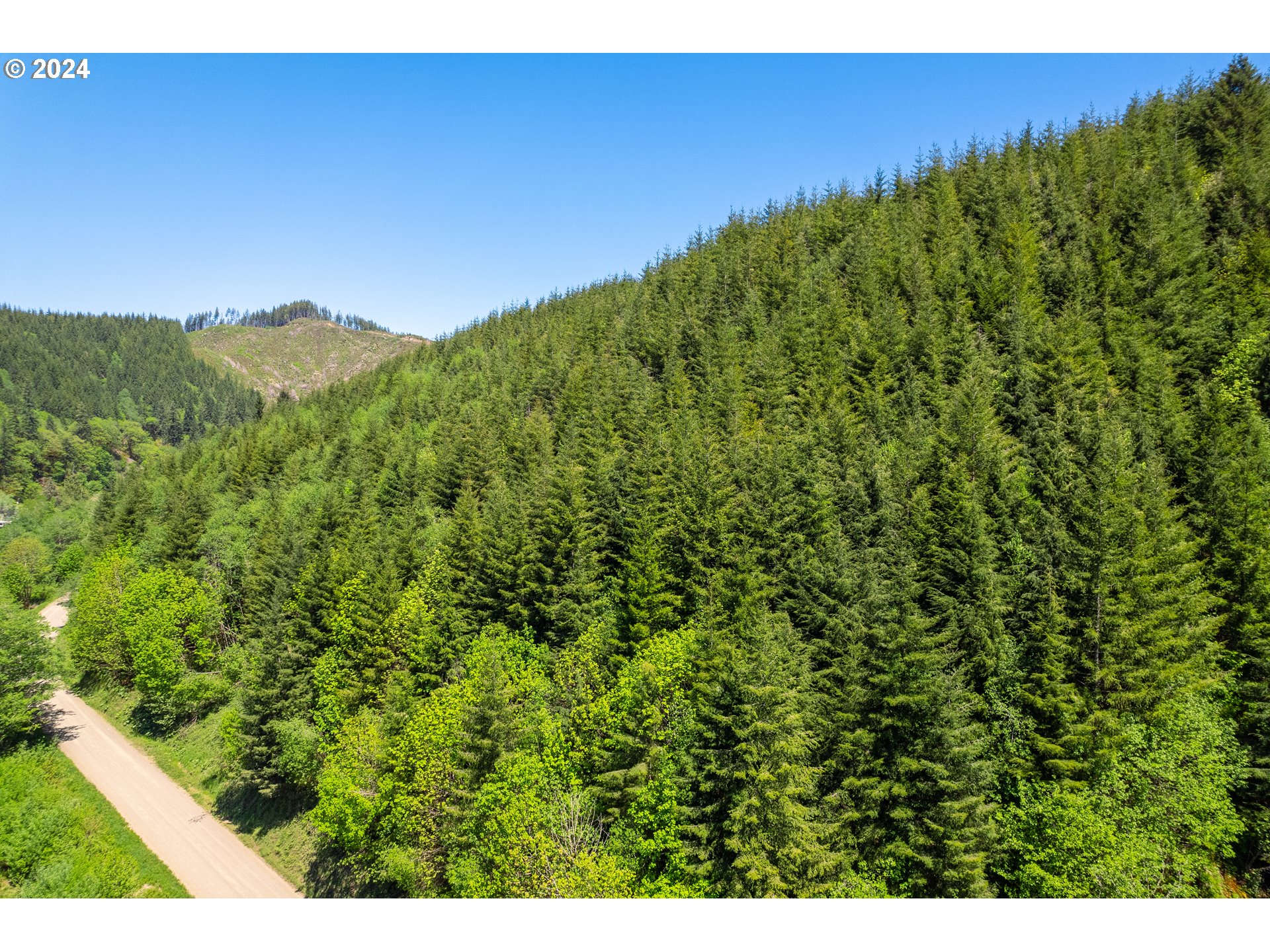 Harlan Rd Treefarm 
