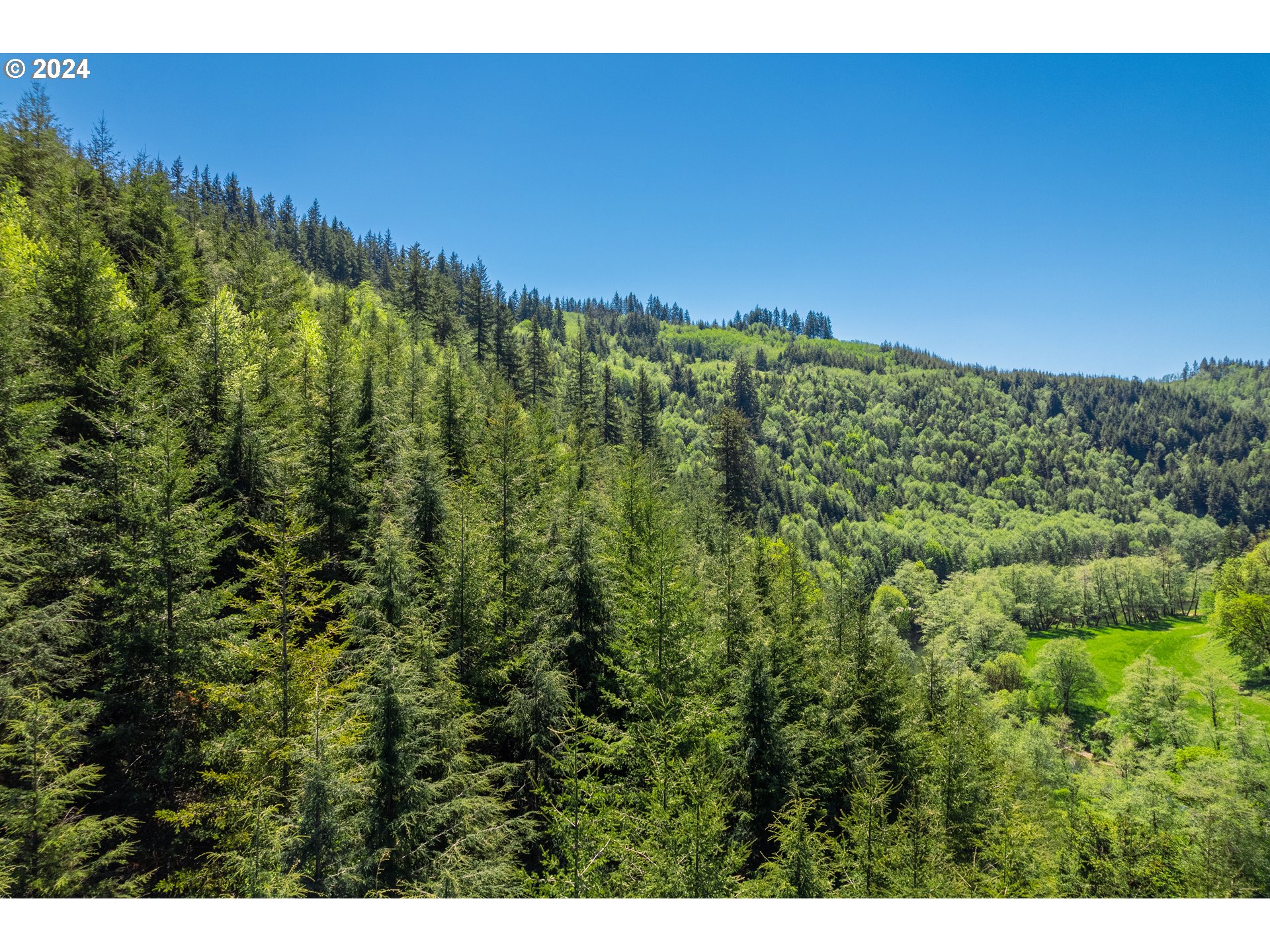 Harlan Rd Treefarm 