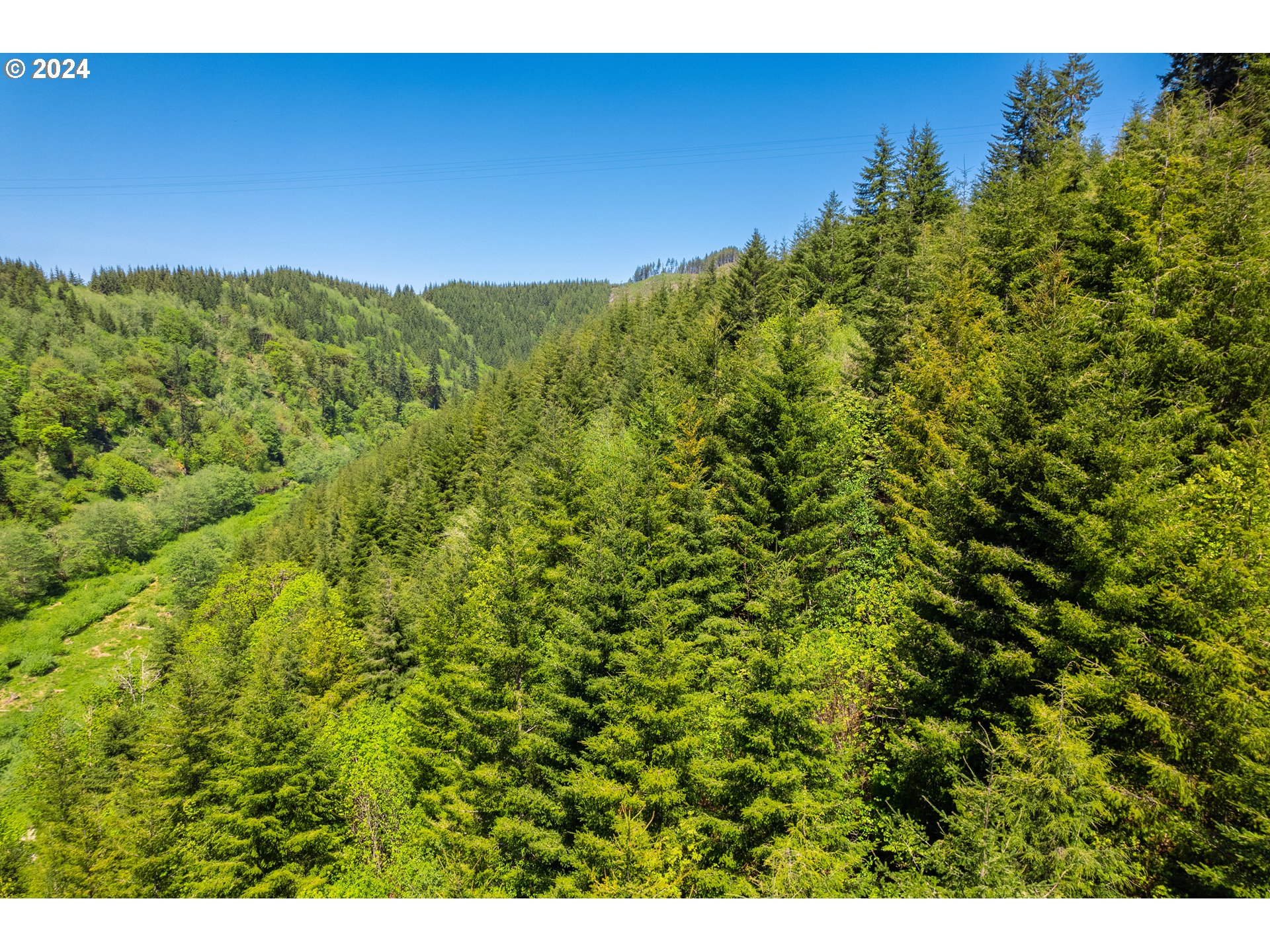 Harlan Rd Treefarm 