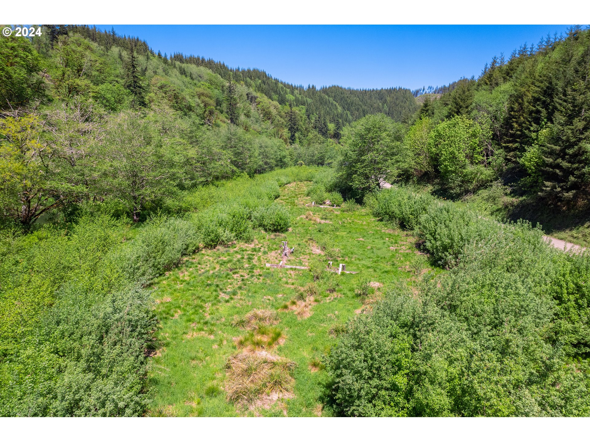 Harlan Rd Treefarm 
