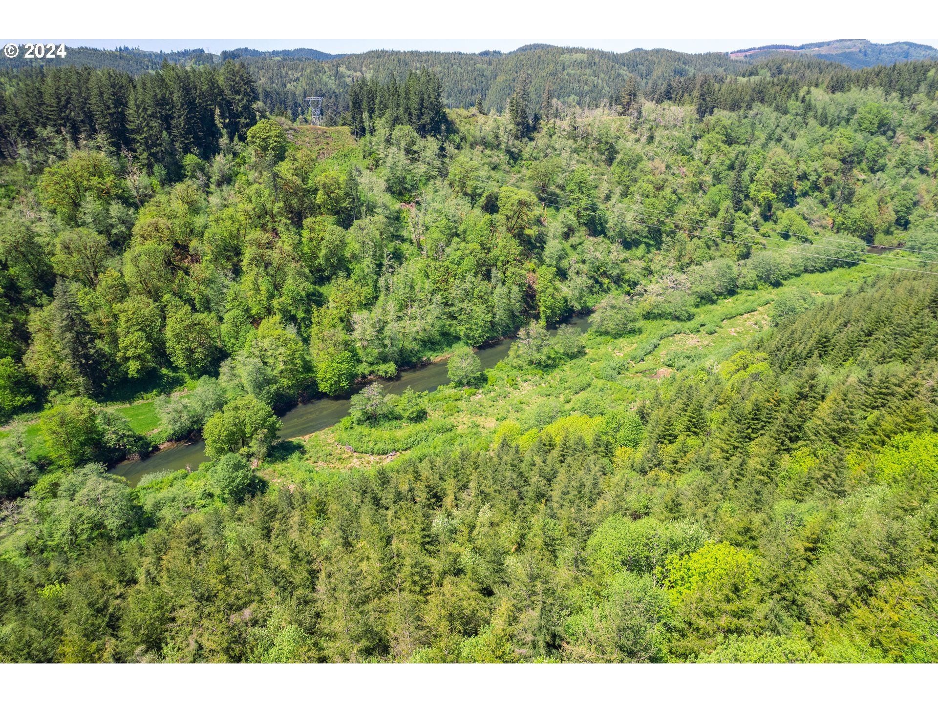 Harlan Rd Treefarm 