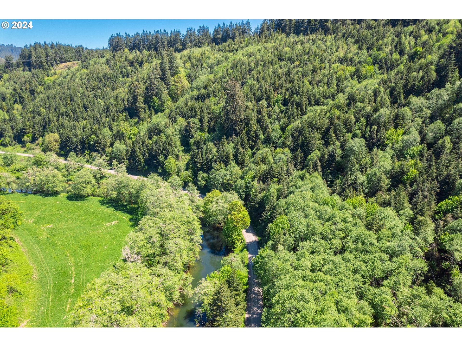 Harlan Rd Treefarm 