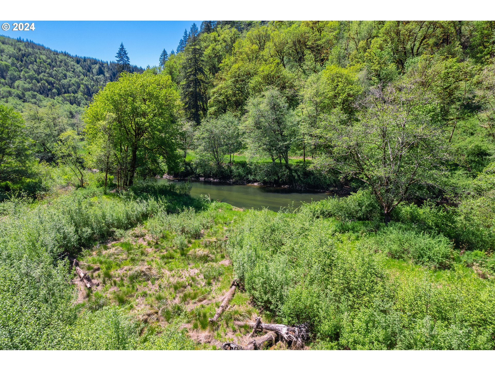 Harlan Rd Treefarm 
