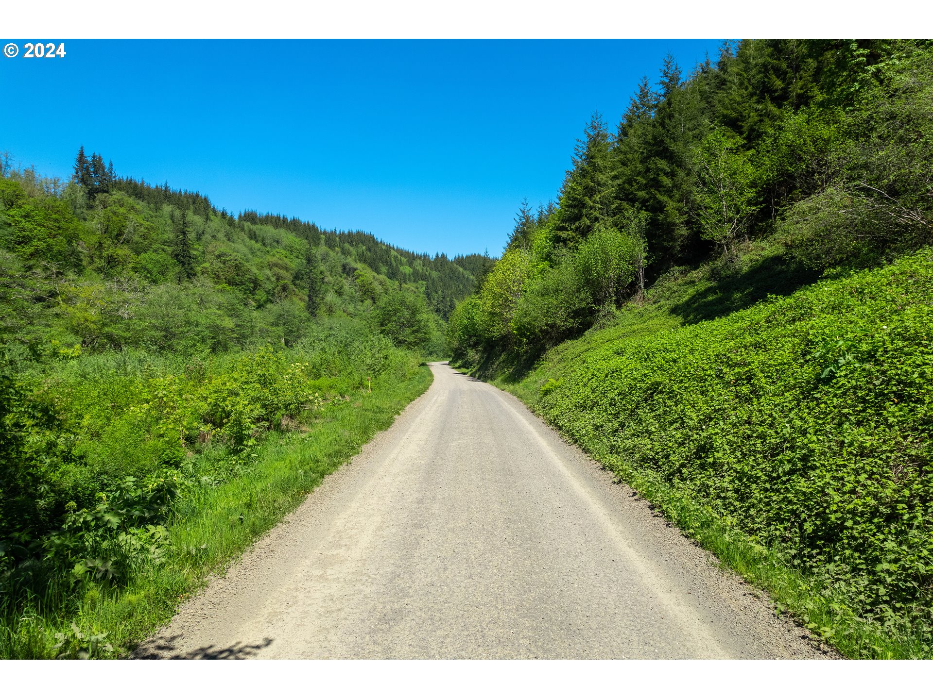 Harlan Rd Treefarm 