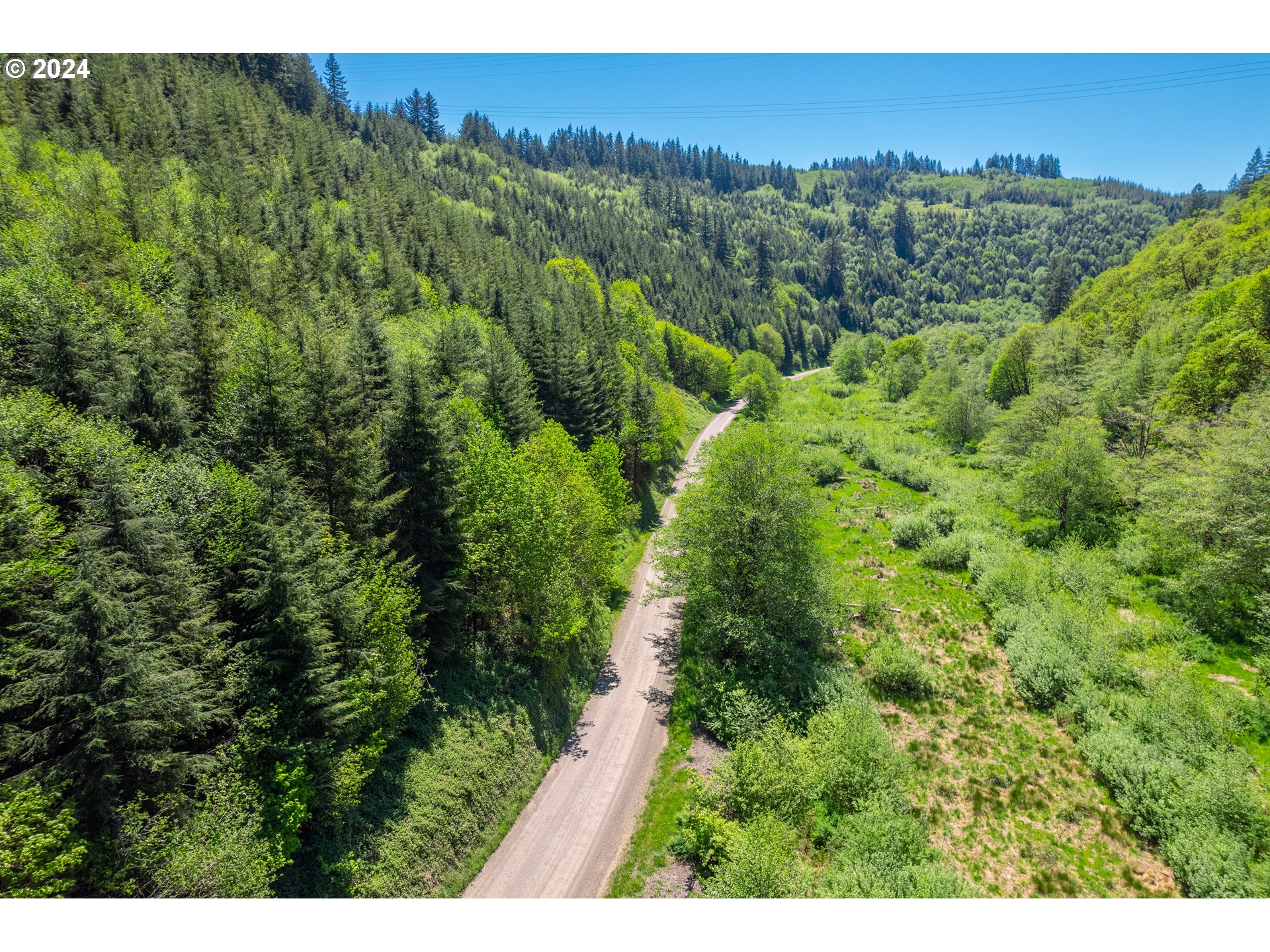 Harlan Rd Treefarm 