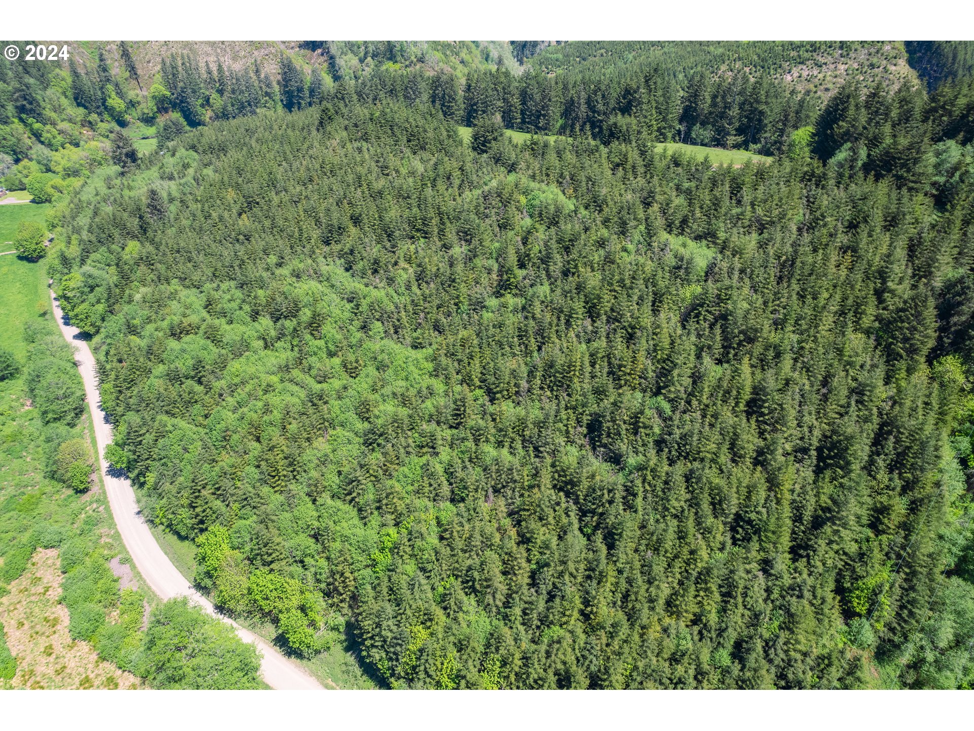 Harlan Rd Treefarm 