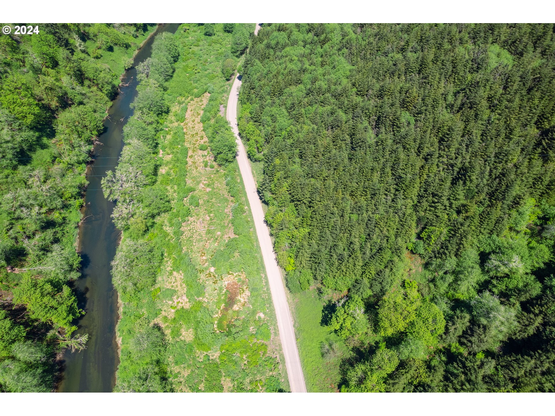 Harlan Rd Treefarm 