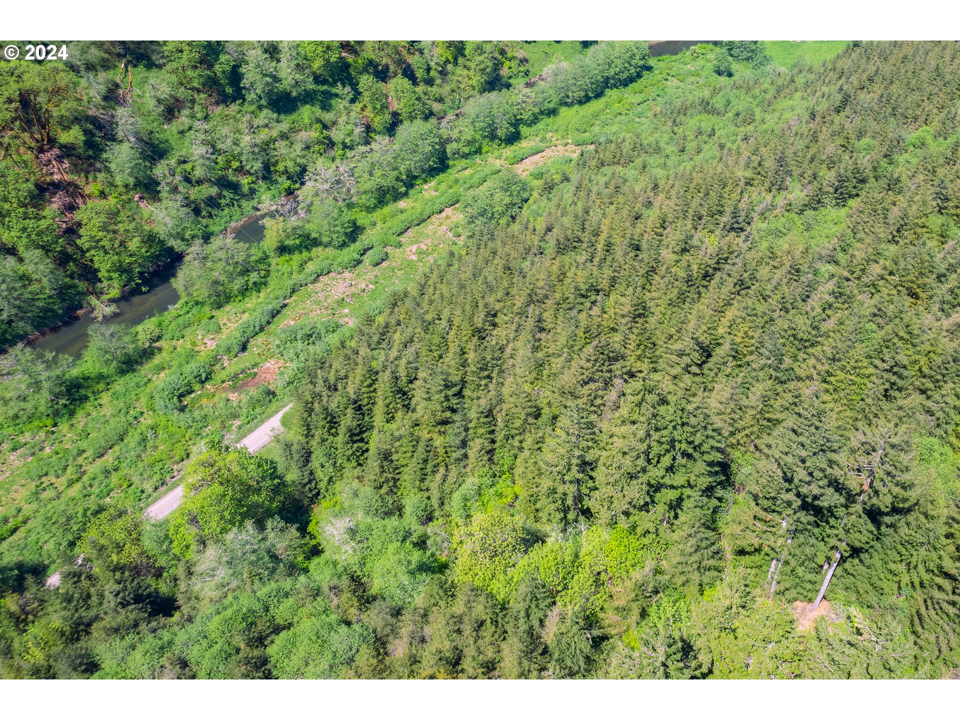 Harlan Rd Treefarm 