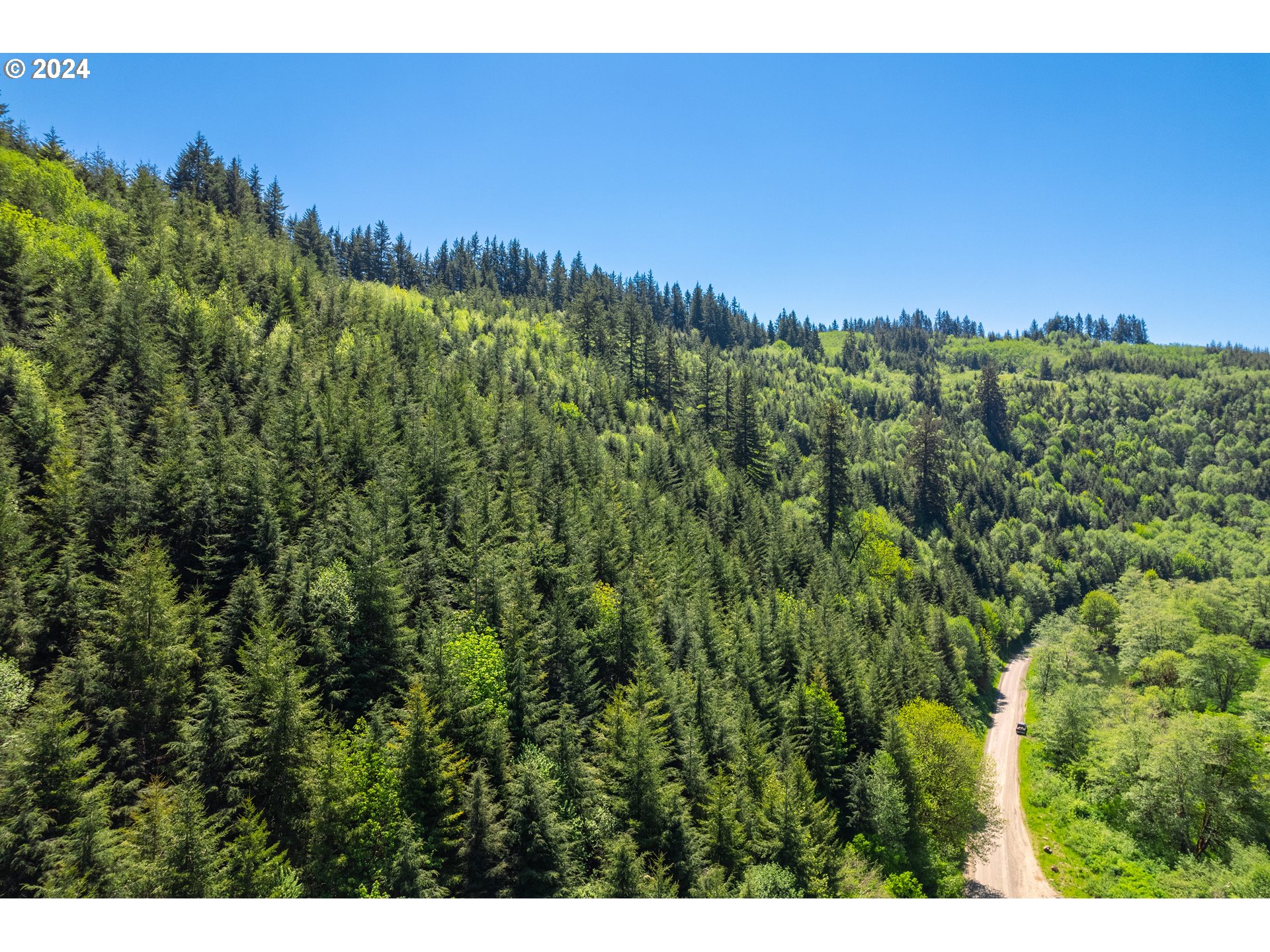 Harlan Rd Treefarm 