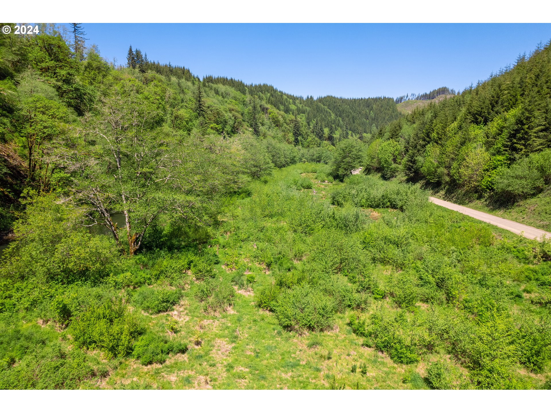 Harlan Rd Treefarm 