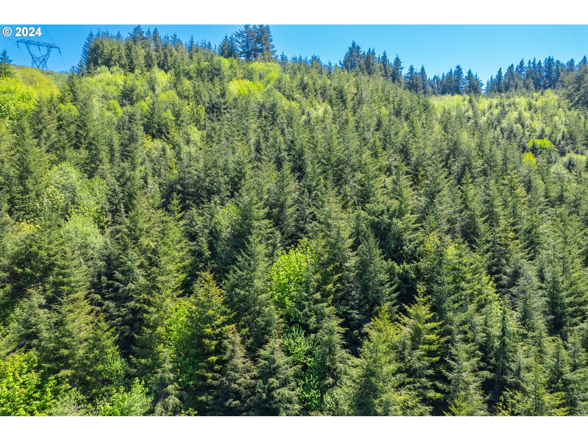Harlan Rd Treefarm 