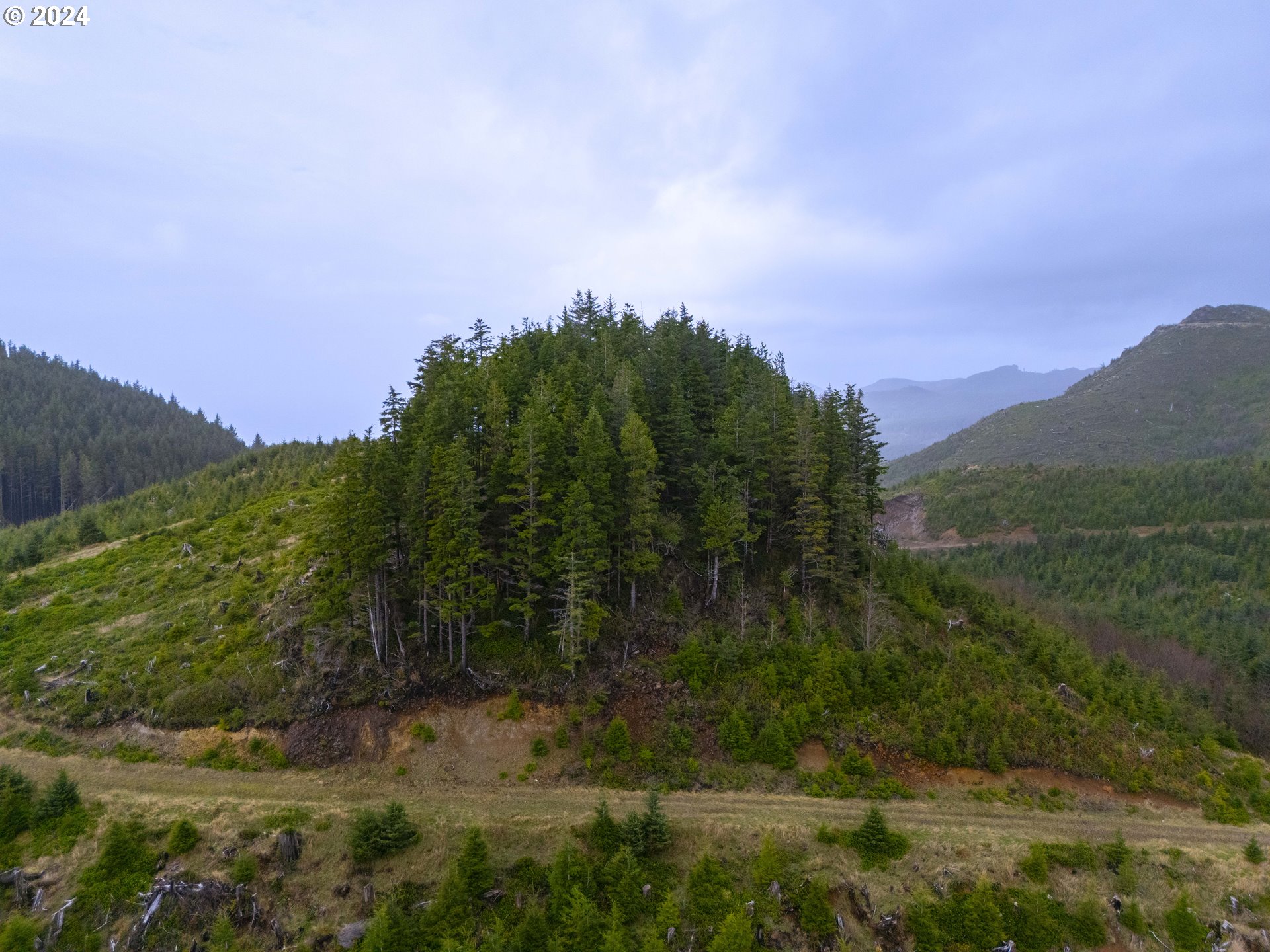 Short Sands N Tree Farm
