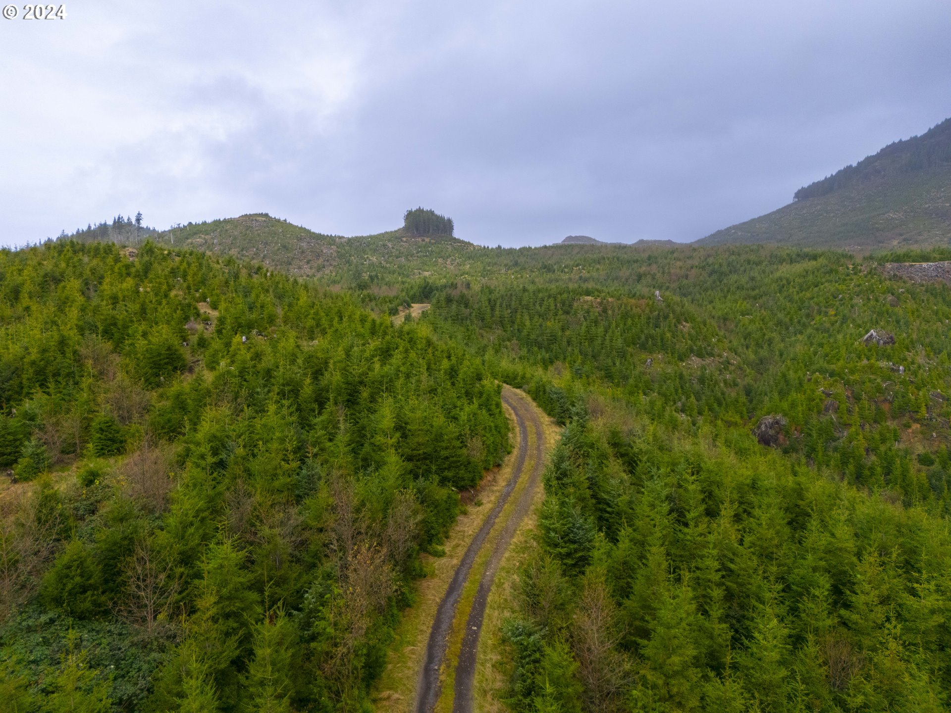 Short Sands N Tree Farm
