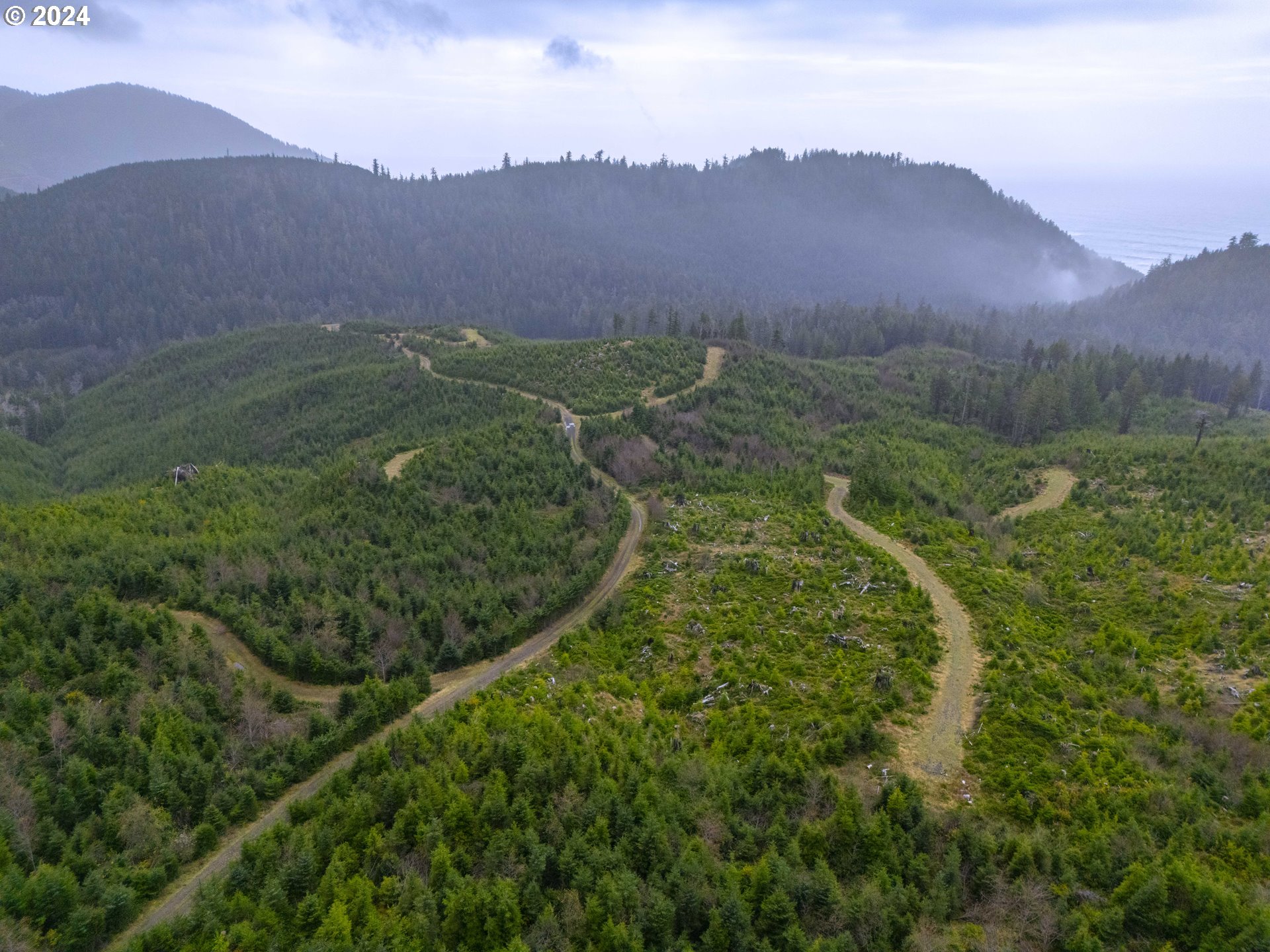 Short Sands N Tree Farm