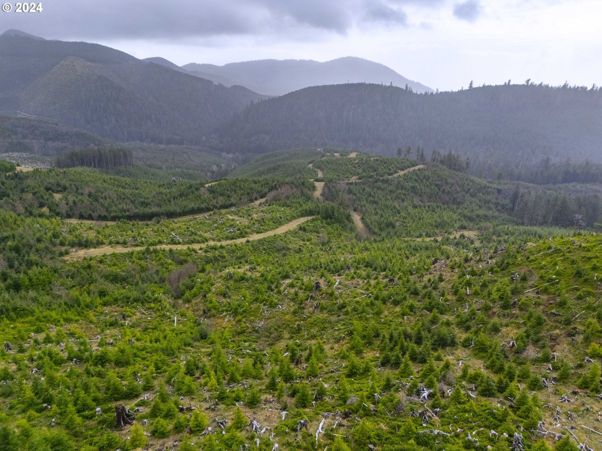 Short Sands N Tree Farm