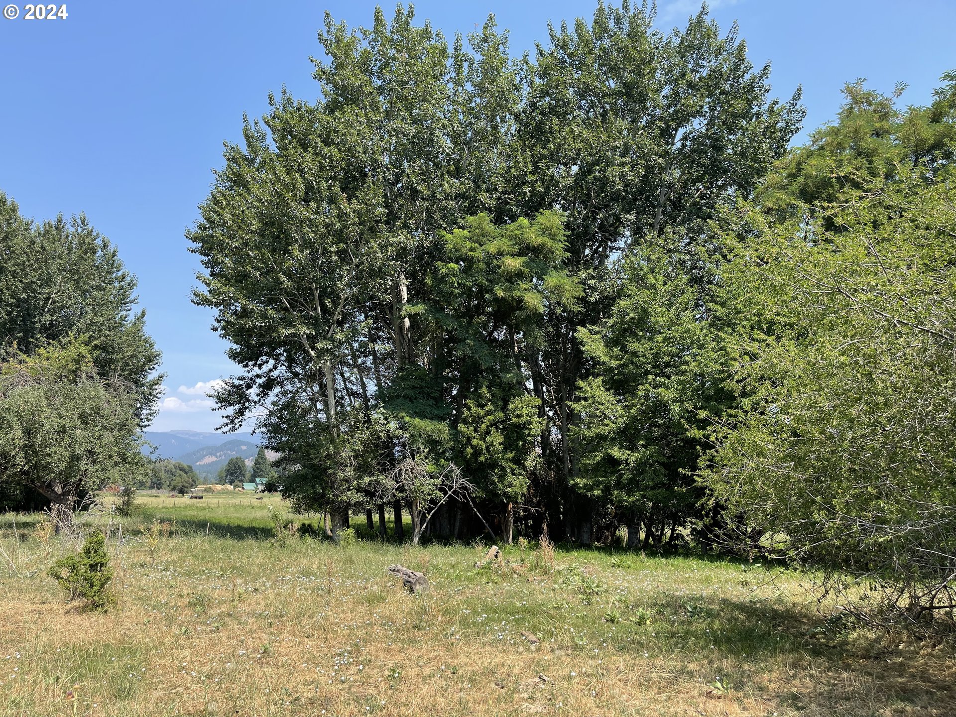 Cornucopia HWY
