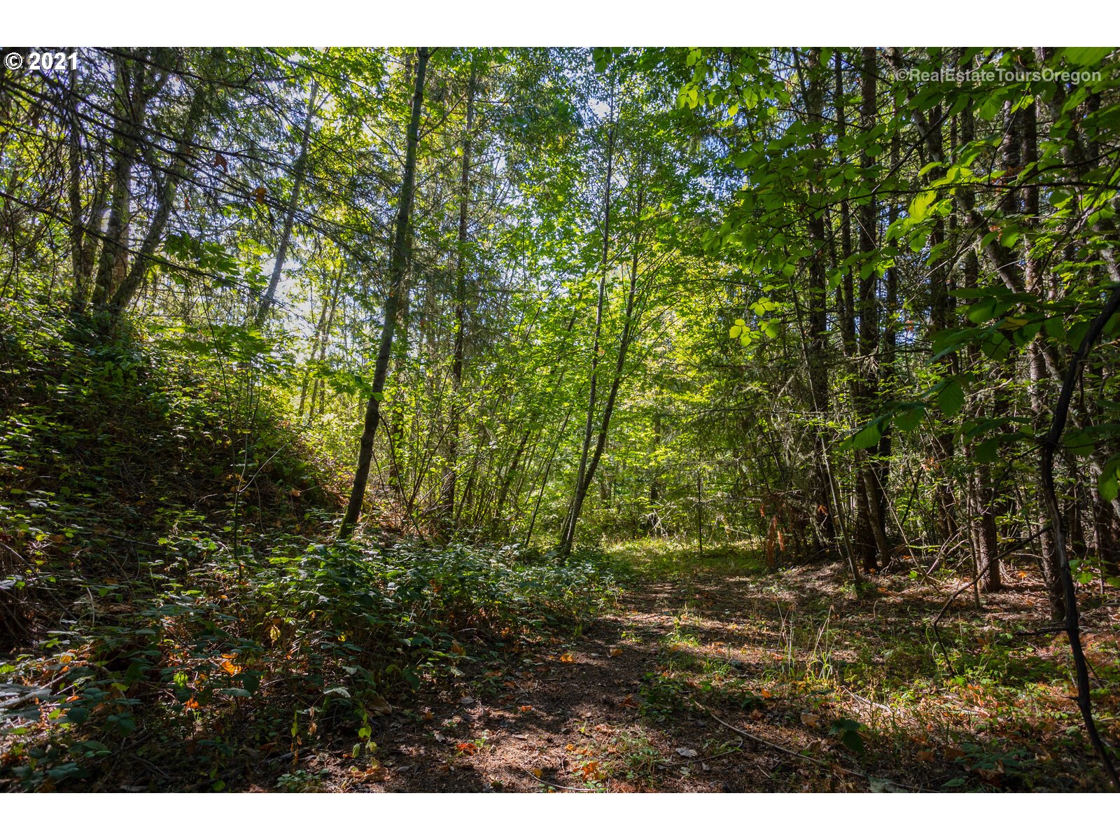 SW Carpenter Creek RD