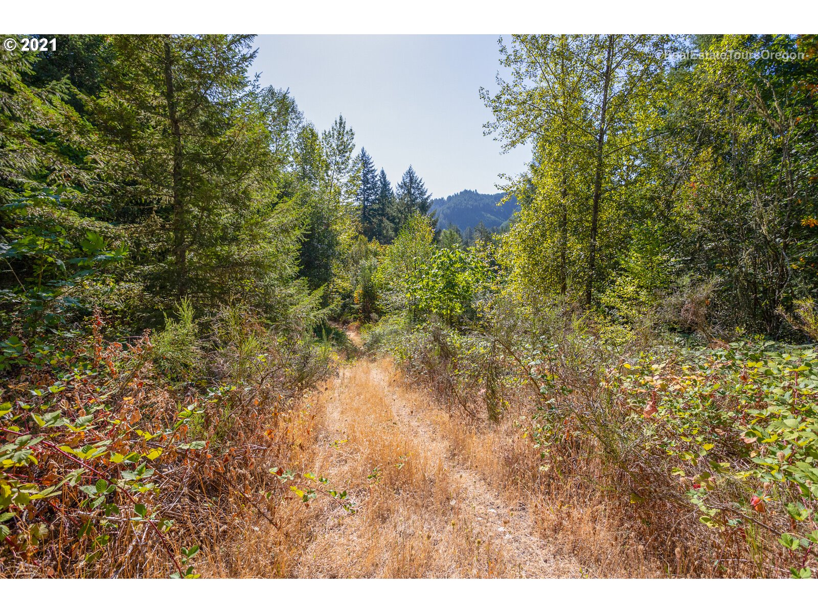 SW Carpenter Creek RD