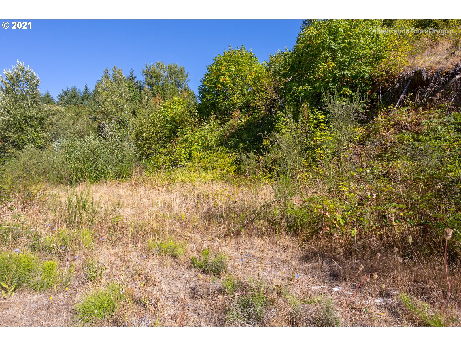 SW Carpenter Creek RD