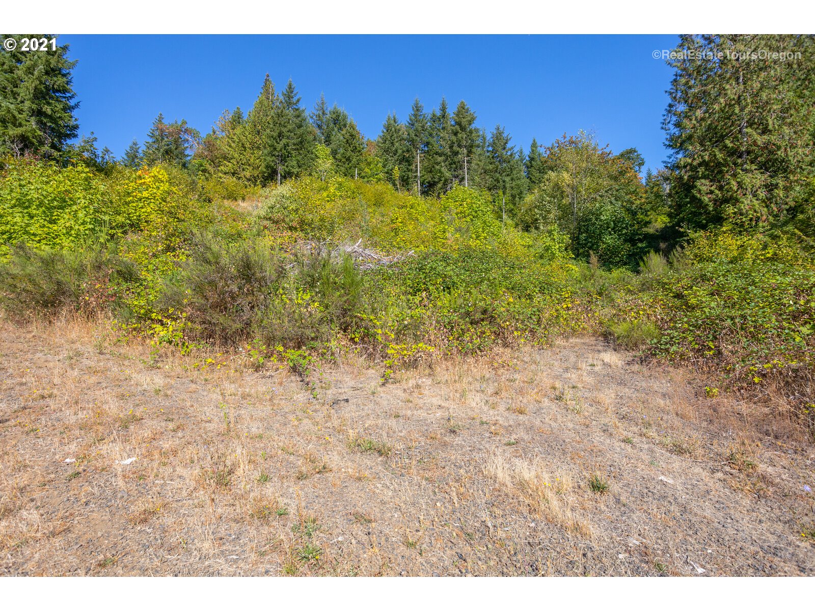SW Carpenter Creek RD