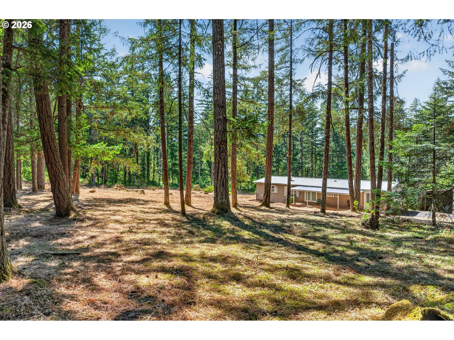 1111 PIONEER RD
