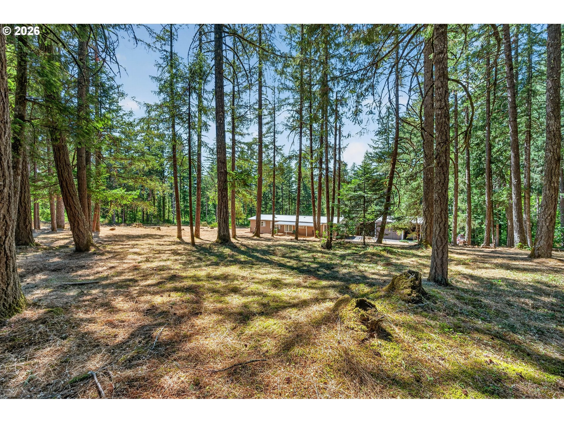 1111 PIONEER RD