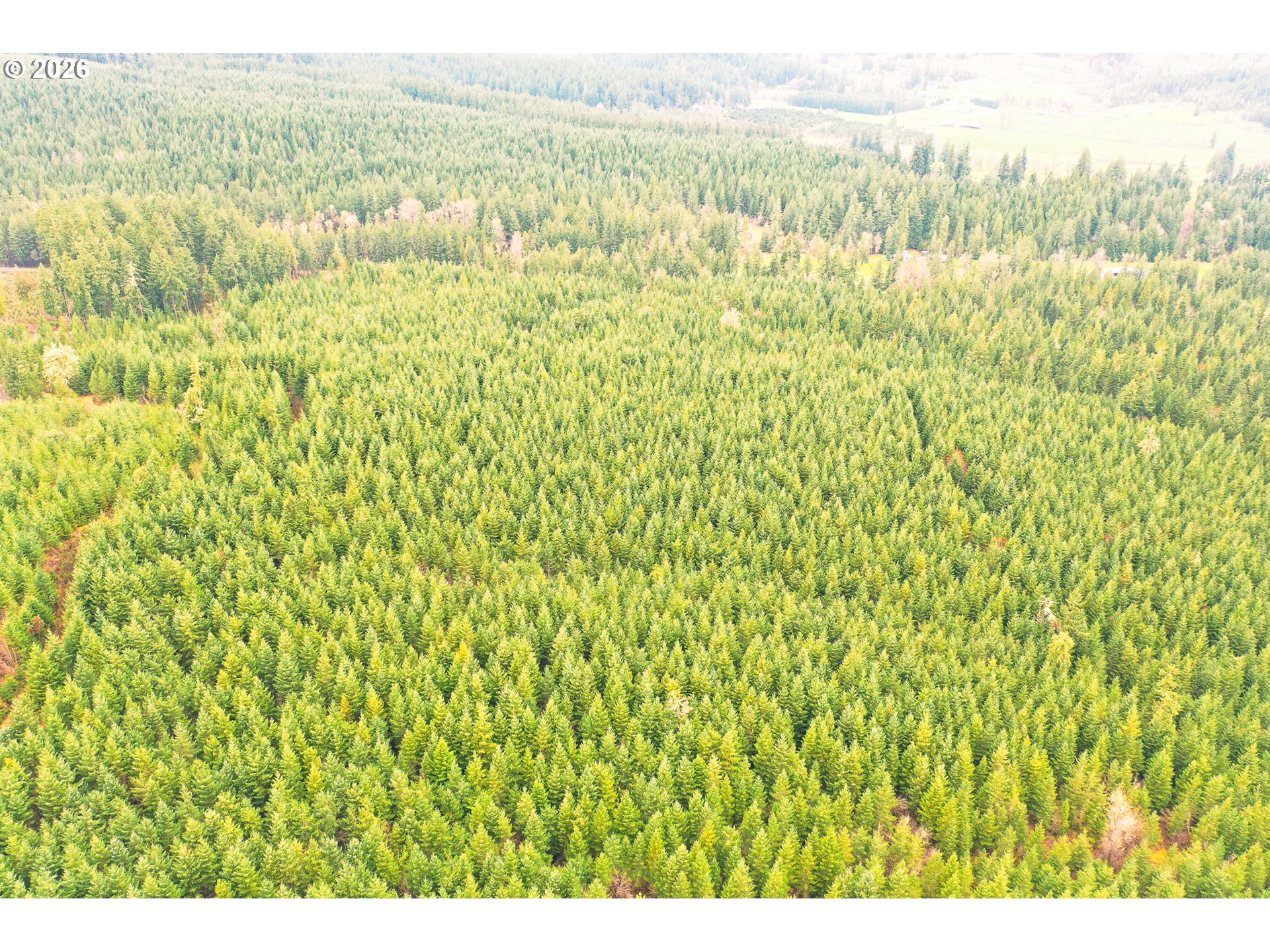 Anthony Creek RD TL700
