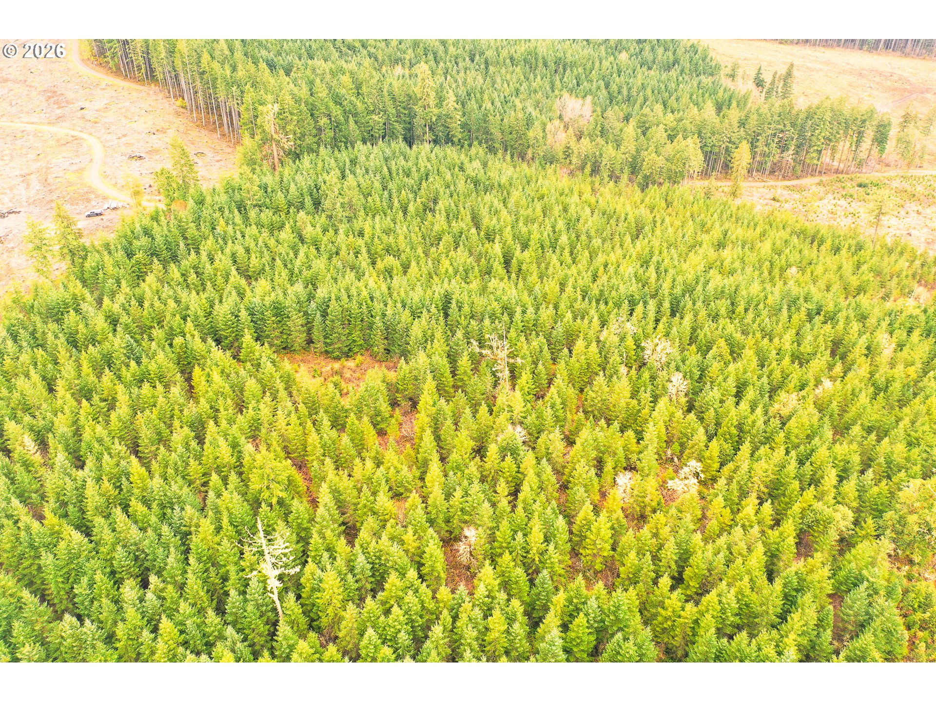 Anthony Creek RD TL700